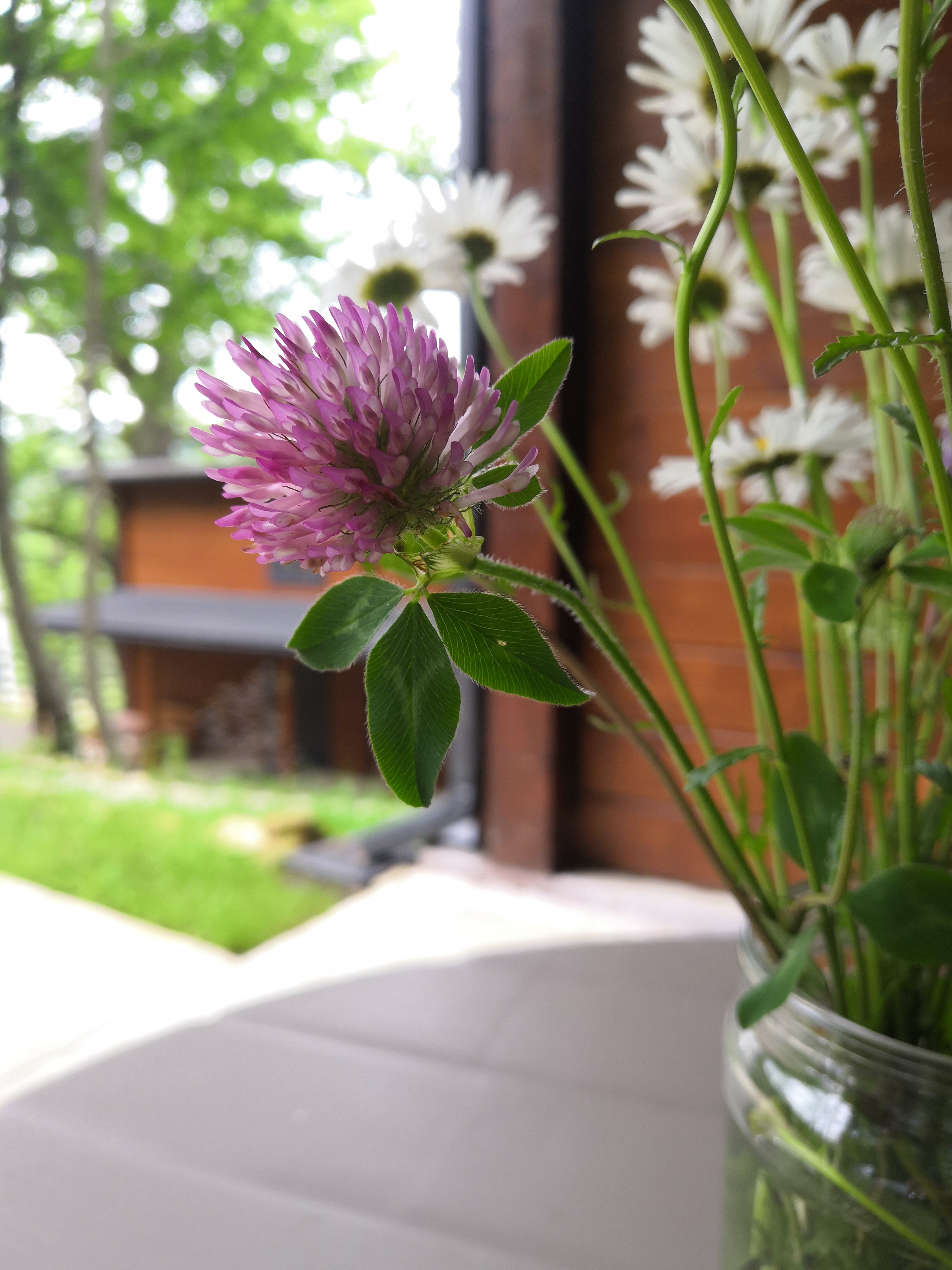 Фото 4 Сезона