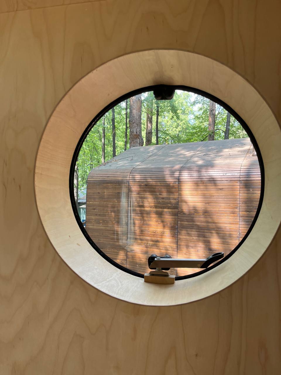 Фото Светлячок