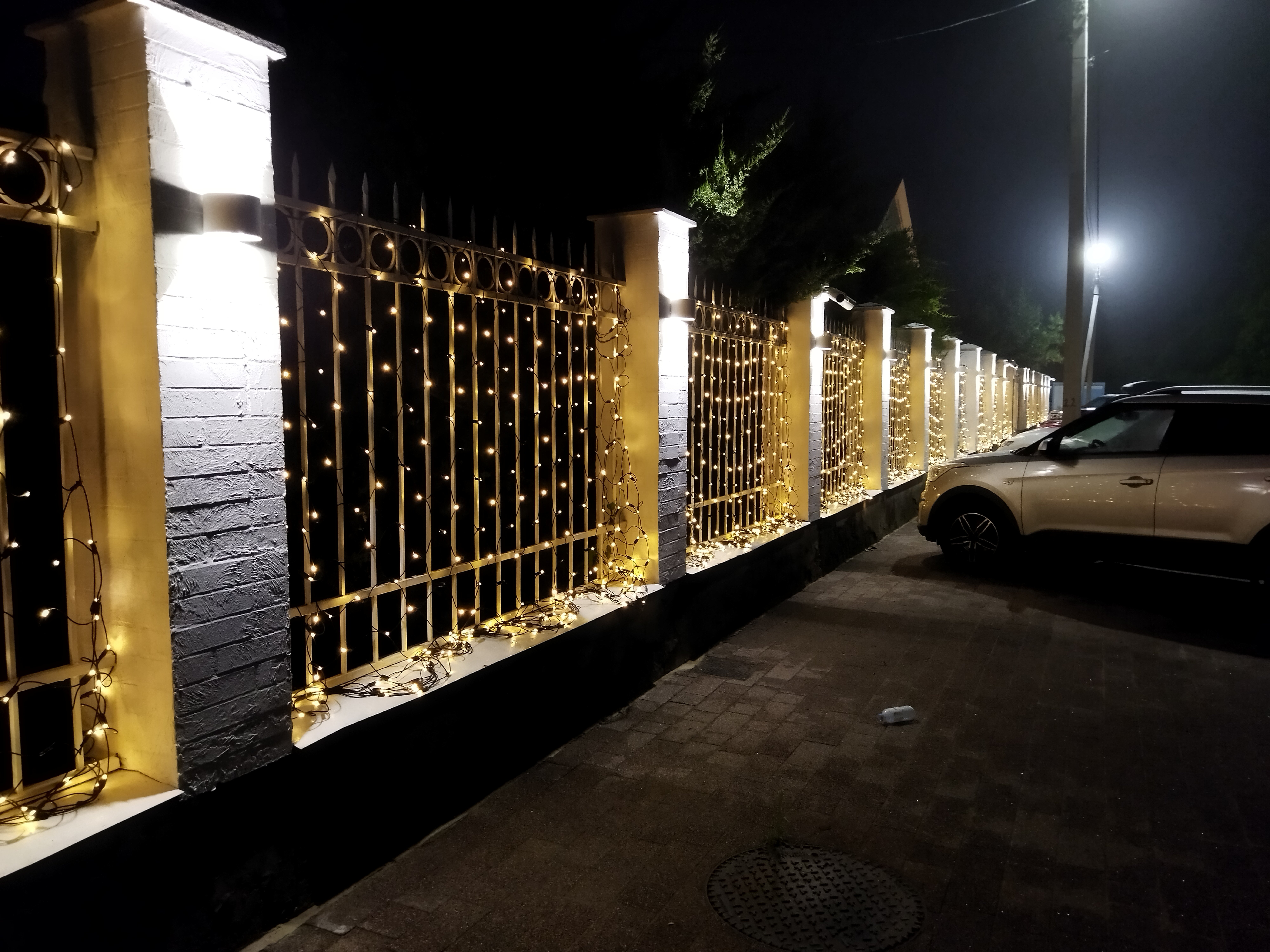 Фото Лаванда