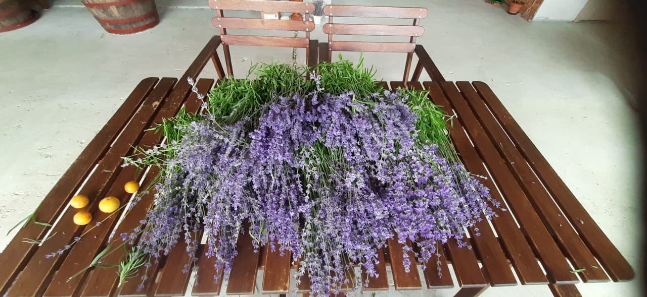 Фото Вилла и Море