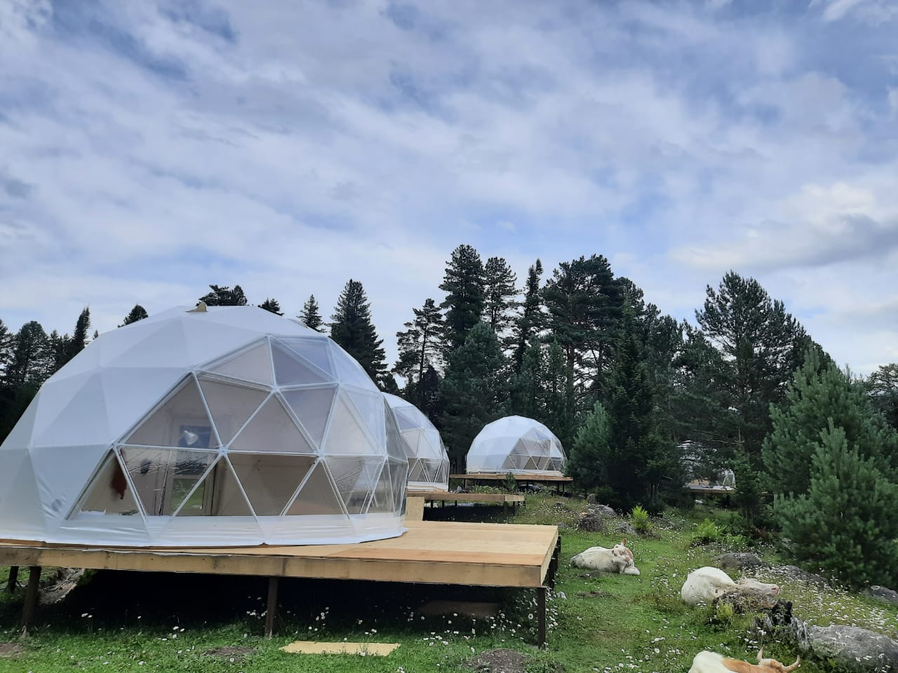 Фото Гостиница Артыбаш