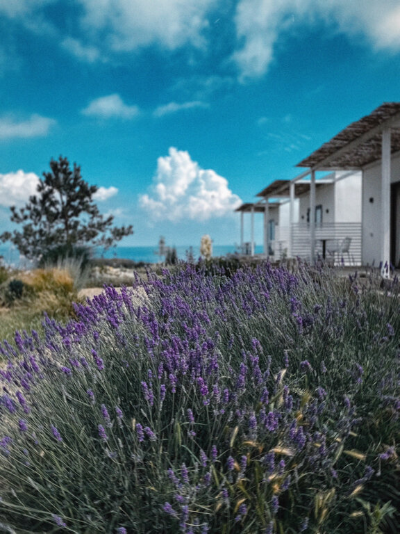 Фото Вилла 4 чайки