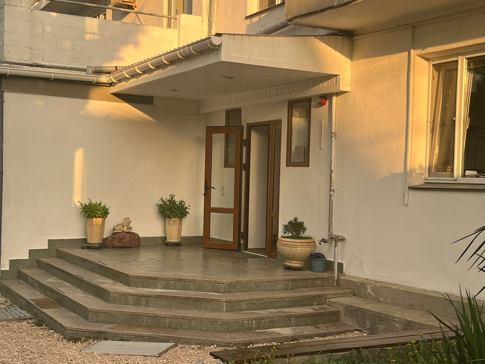 Фото Афалина