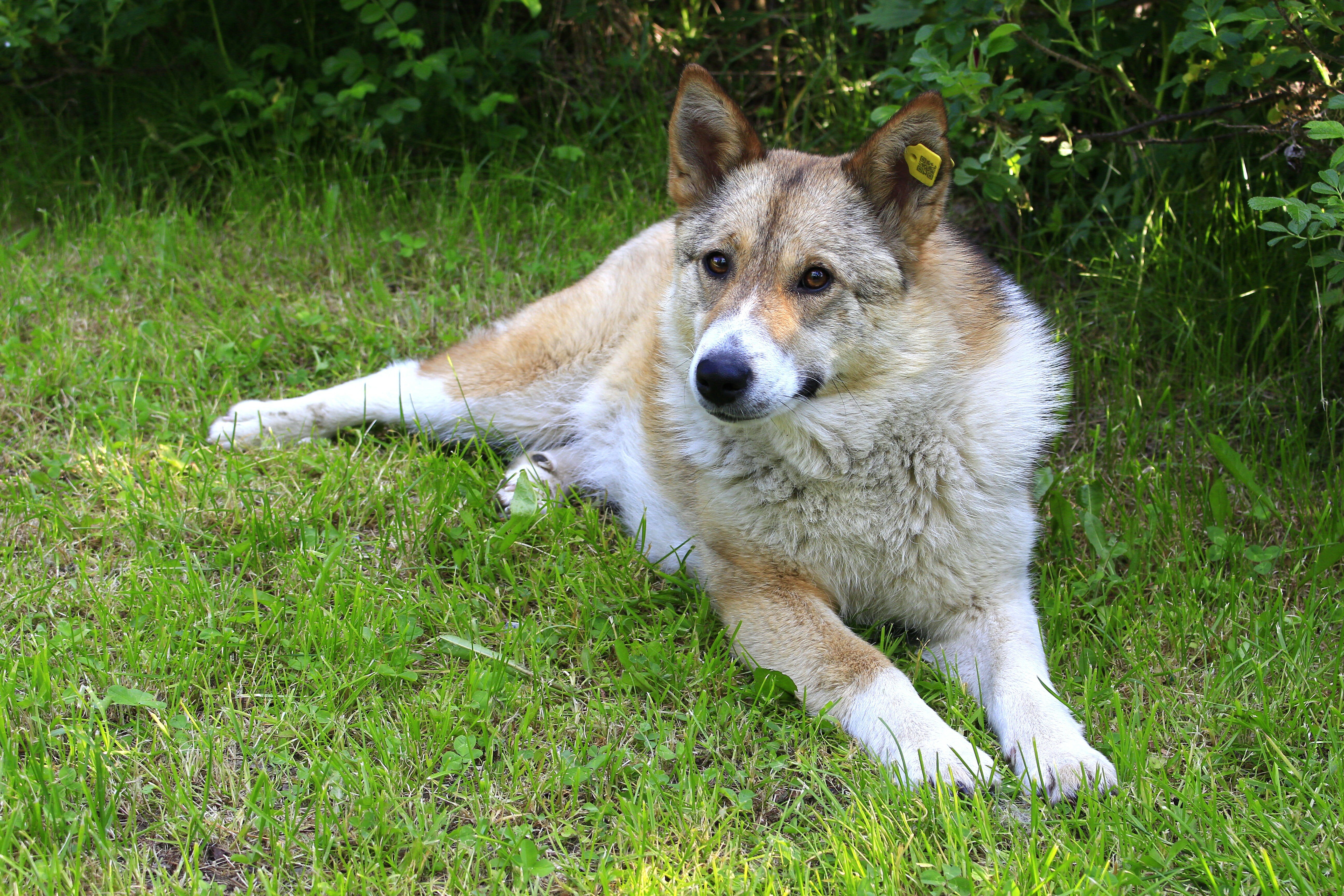 Фото Лагуна