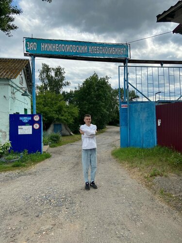 Хлебозавод Нижнеломовский хлебокомбинат, Нижний Ломов, фото