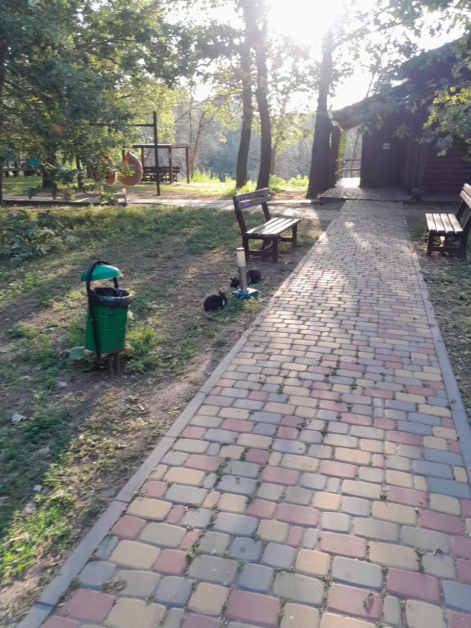 Фото Дубровский