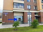 Housewarming Travel Agency (gorodskoy posyolok Novoselye, Admiralteyskaya ulitsa, 3), travel agency