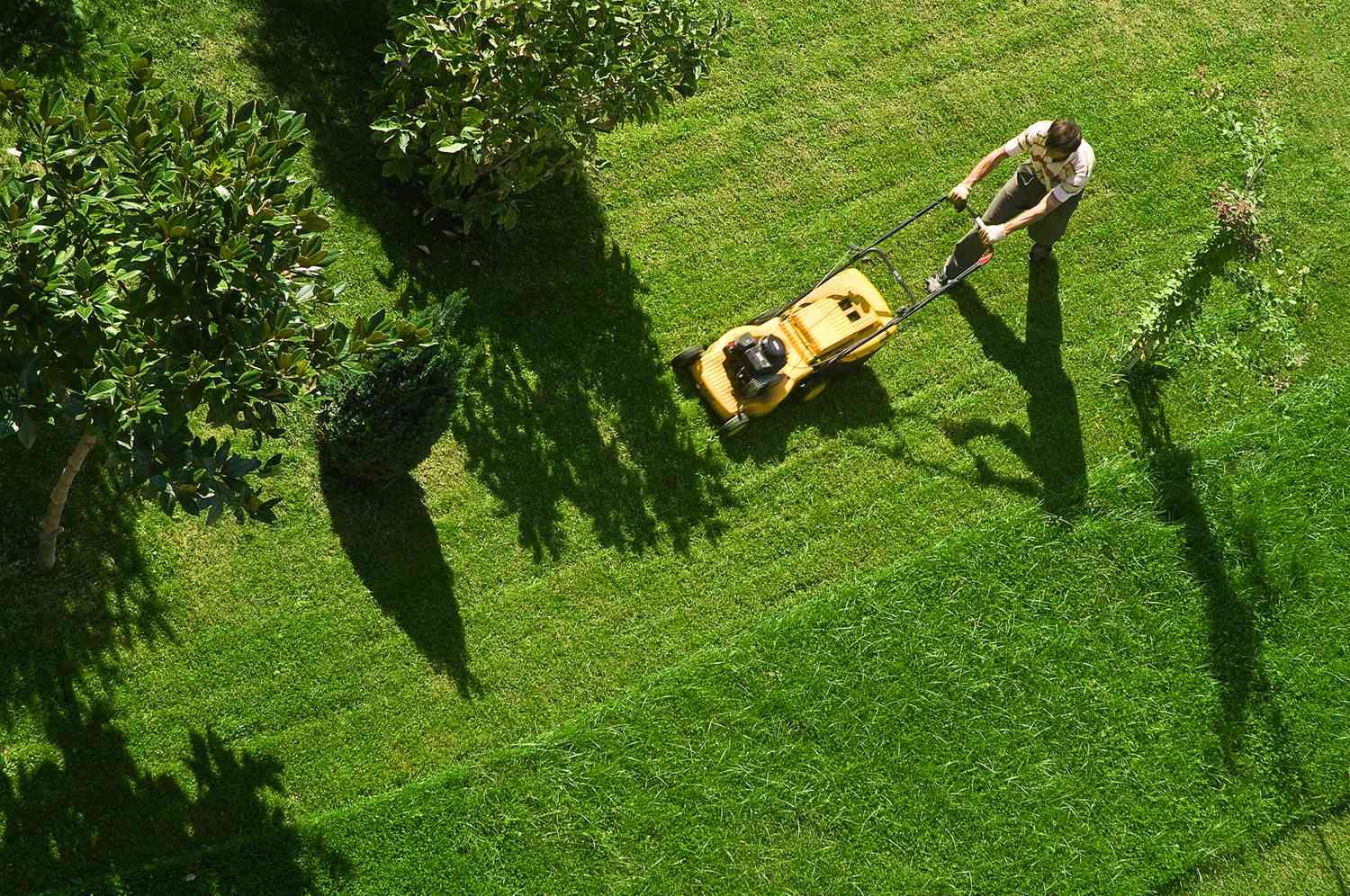 A lawn service discount