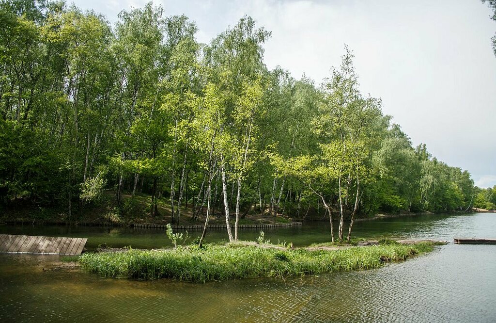 Park Ландшафтный заказник Тёплый Стан, Moscow, photo