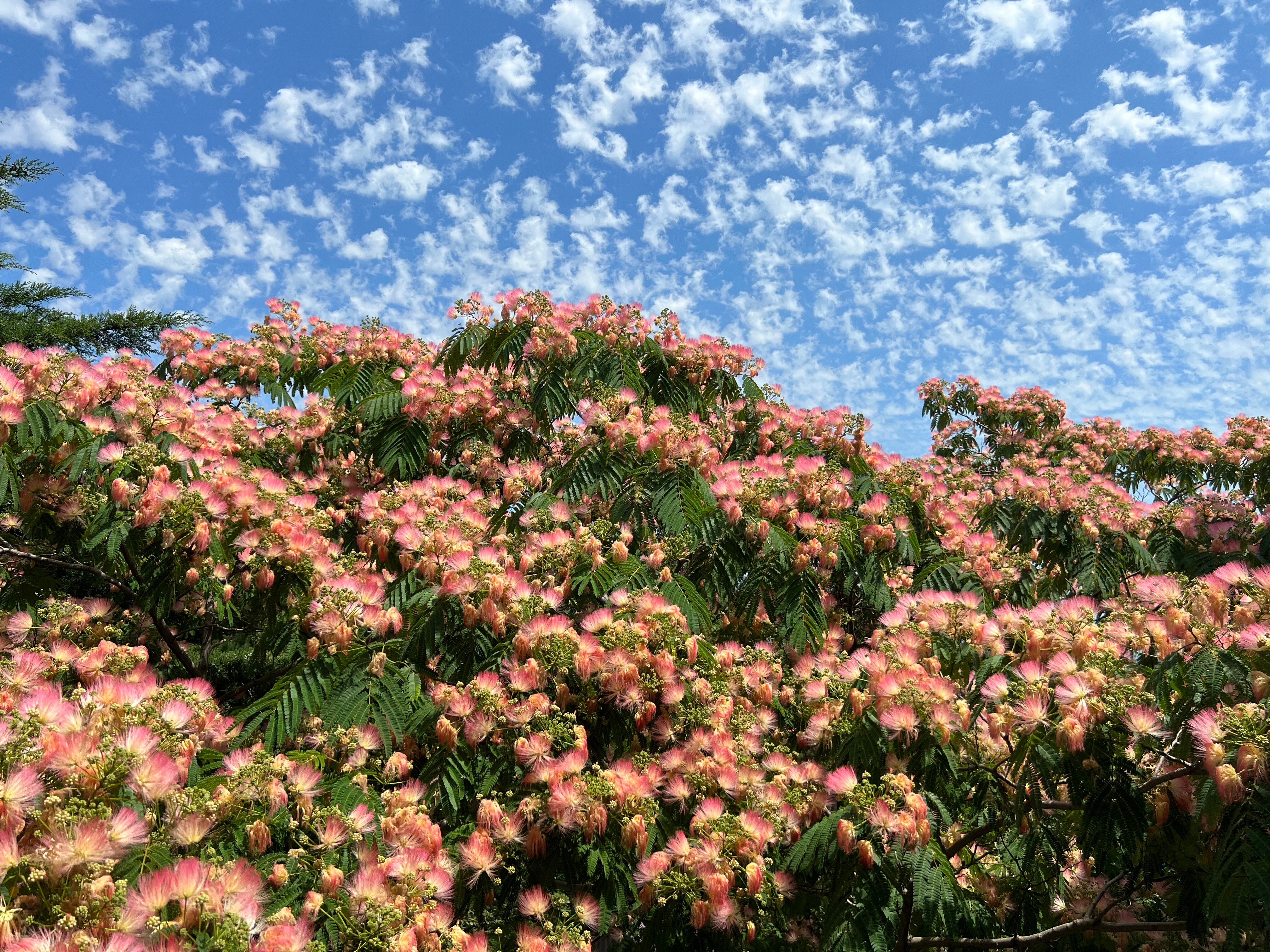 Фото Пансионат Лад