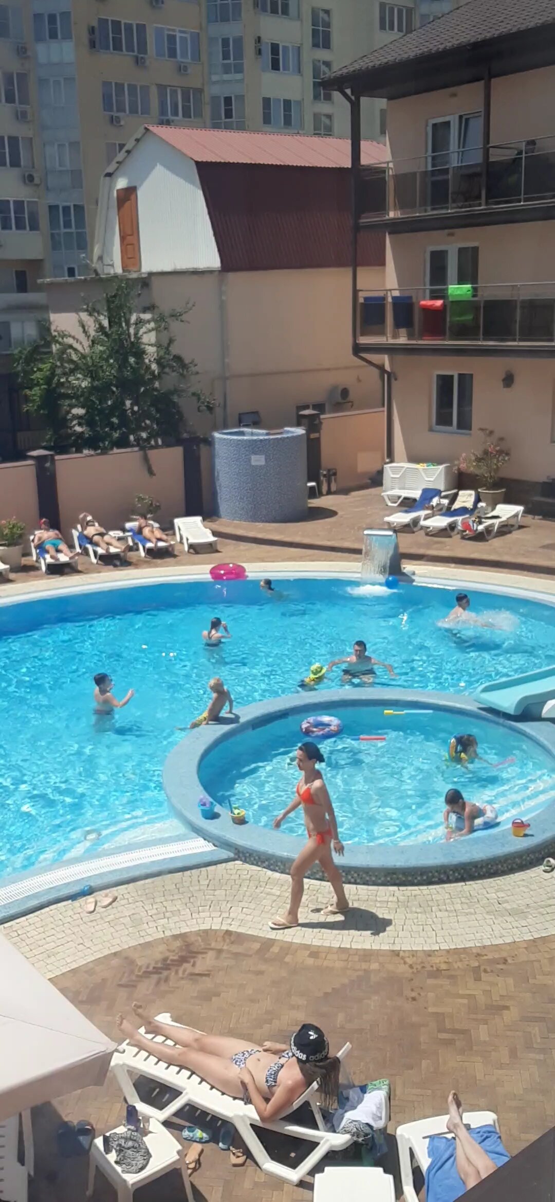 Фото Кипарис