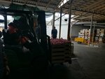 Засолочная база (садоводческое некоммерческое товарищество Кооператор, Южная ул., 2), аграрная инфраструктура в Волгоградской области