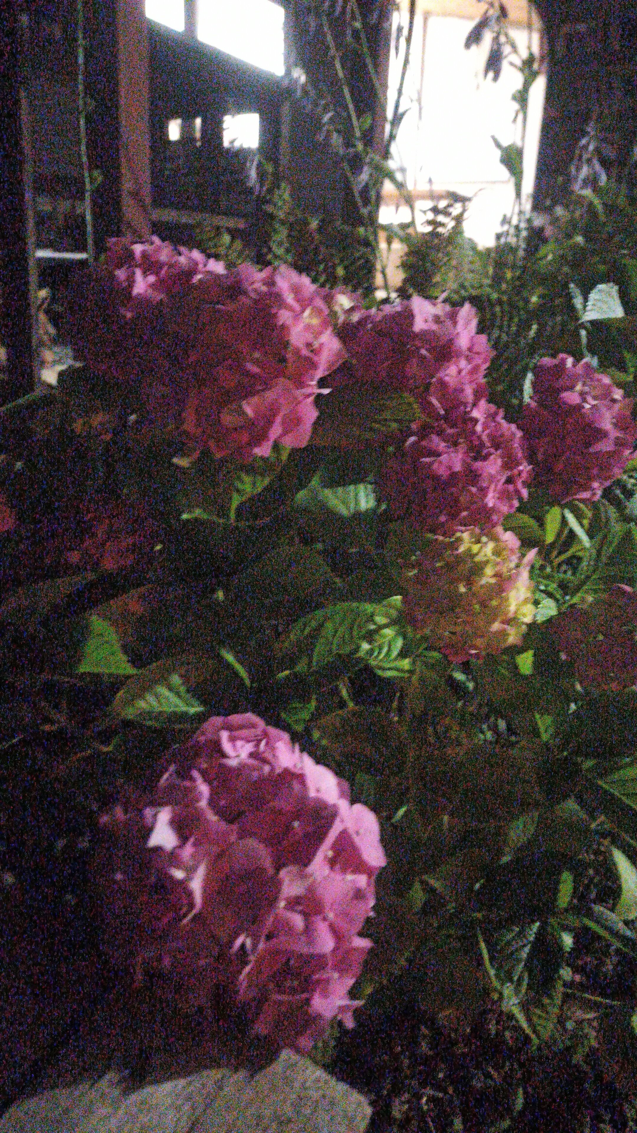 Фото Тихий причал