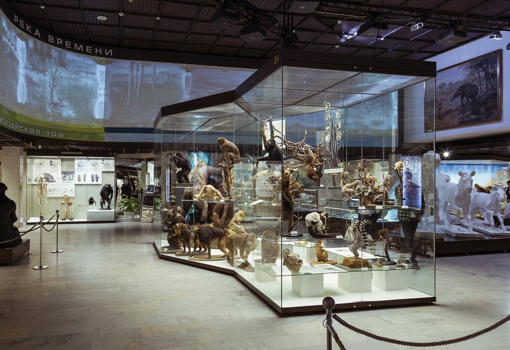 Reference service Information & Help Desk, Dubai, photo