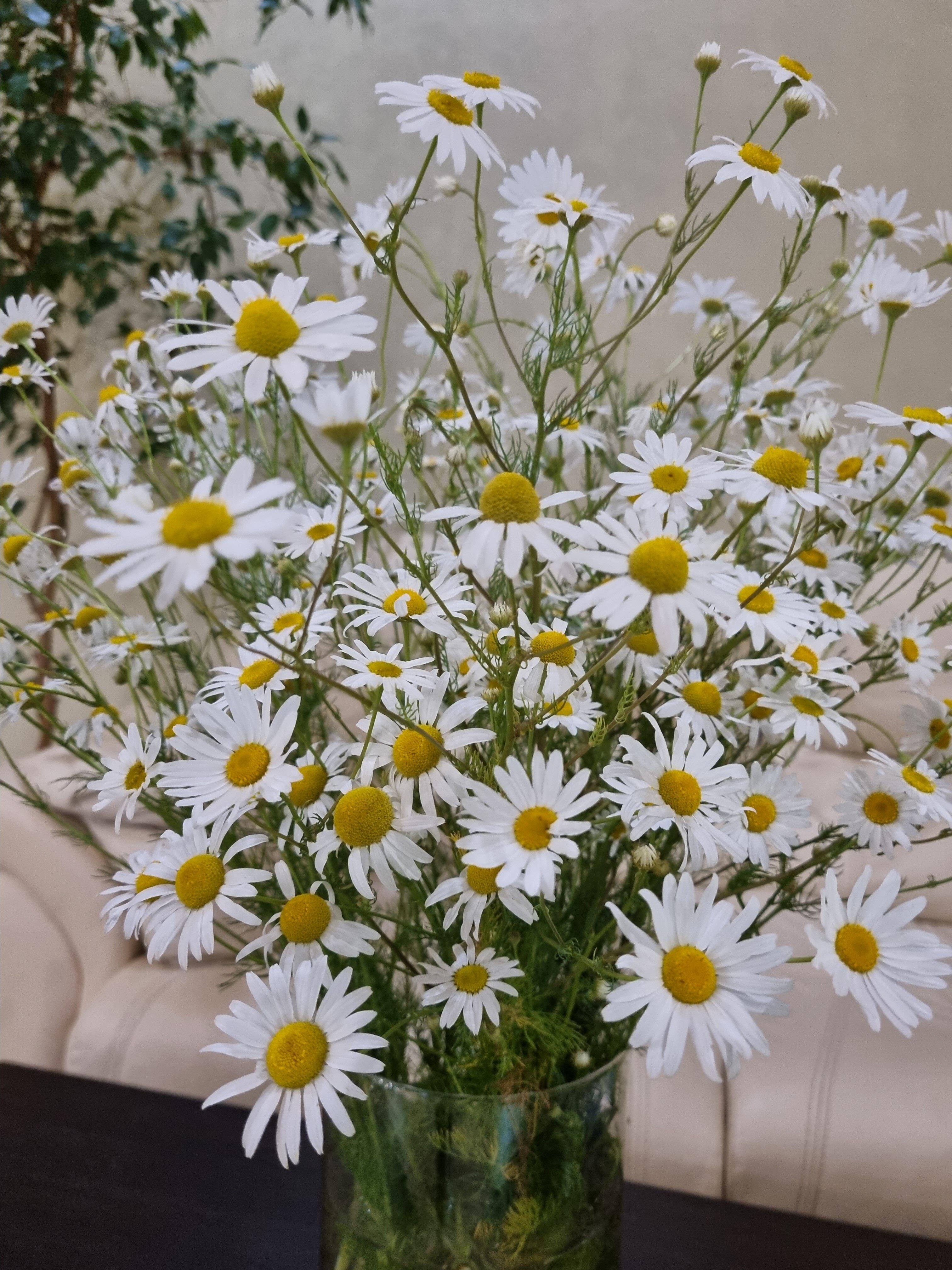 Фото Речная долина