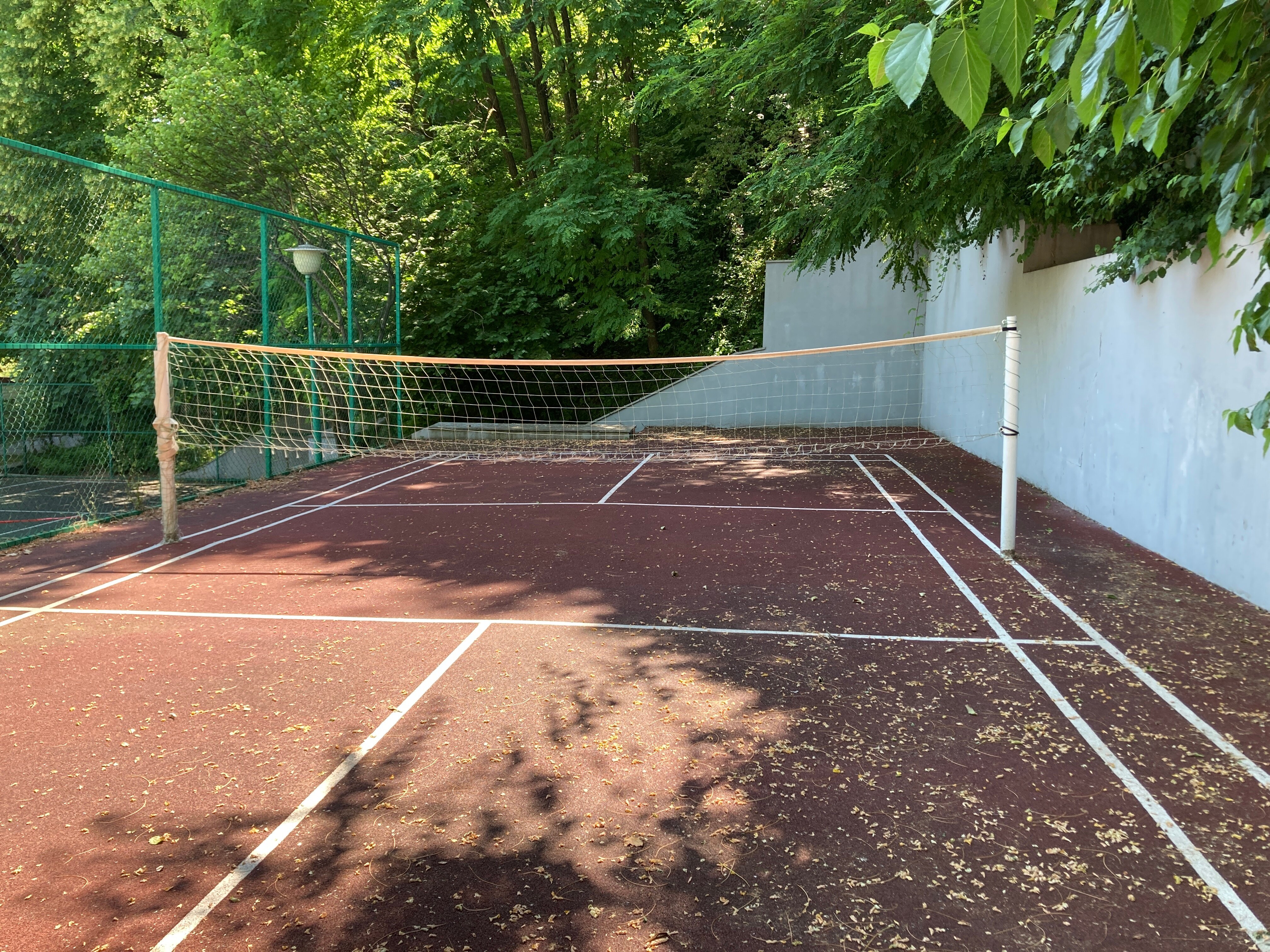 Фото Зелёная роща