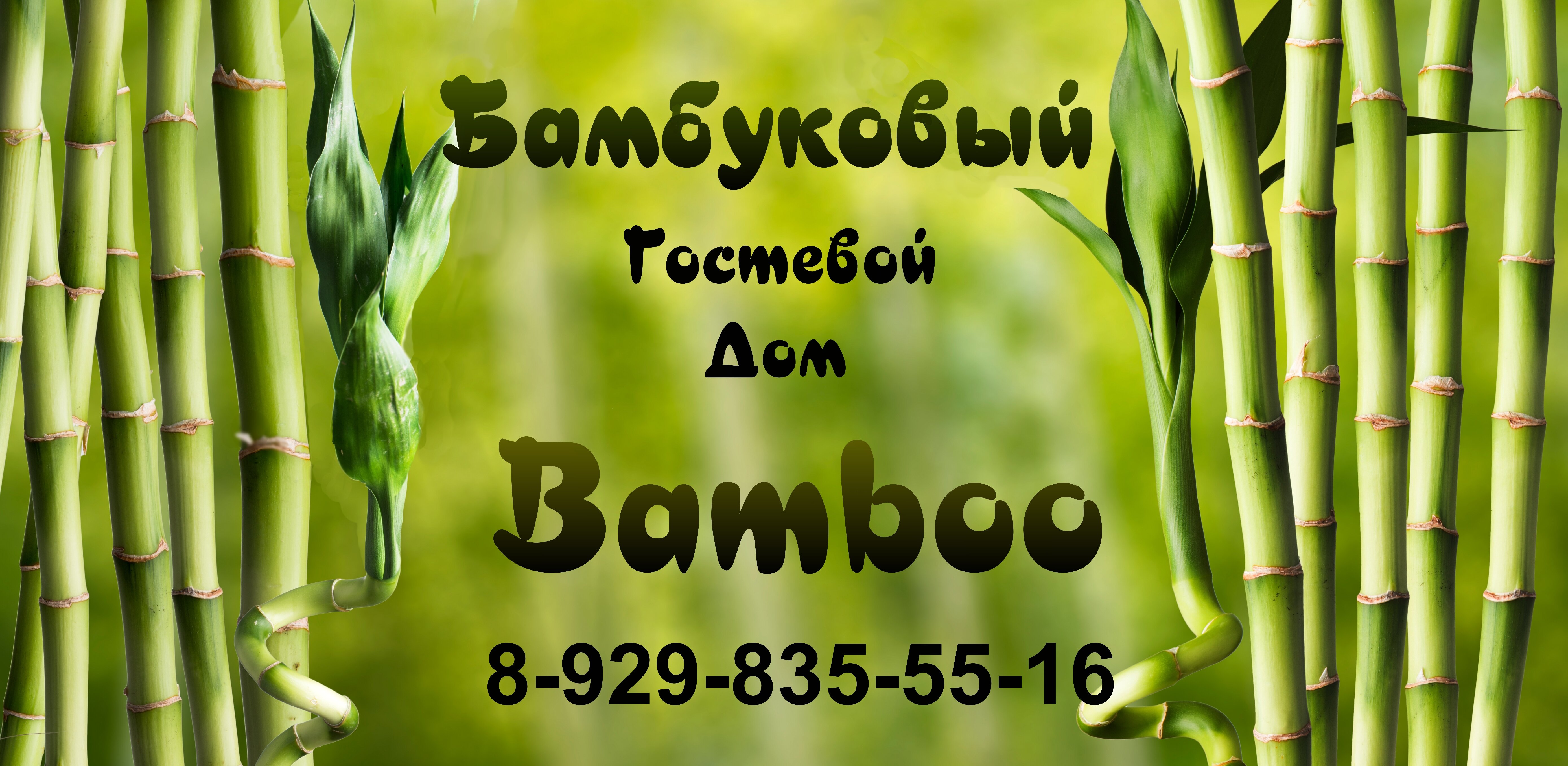 Фото Bamboo