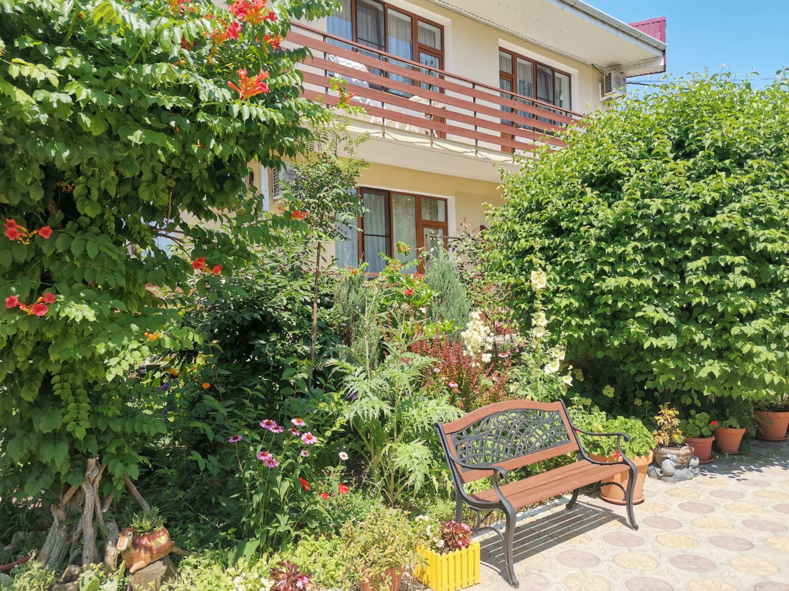 Фото Морские Рифы