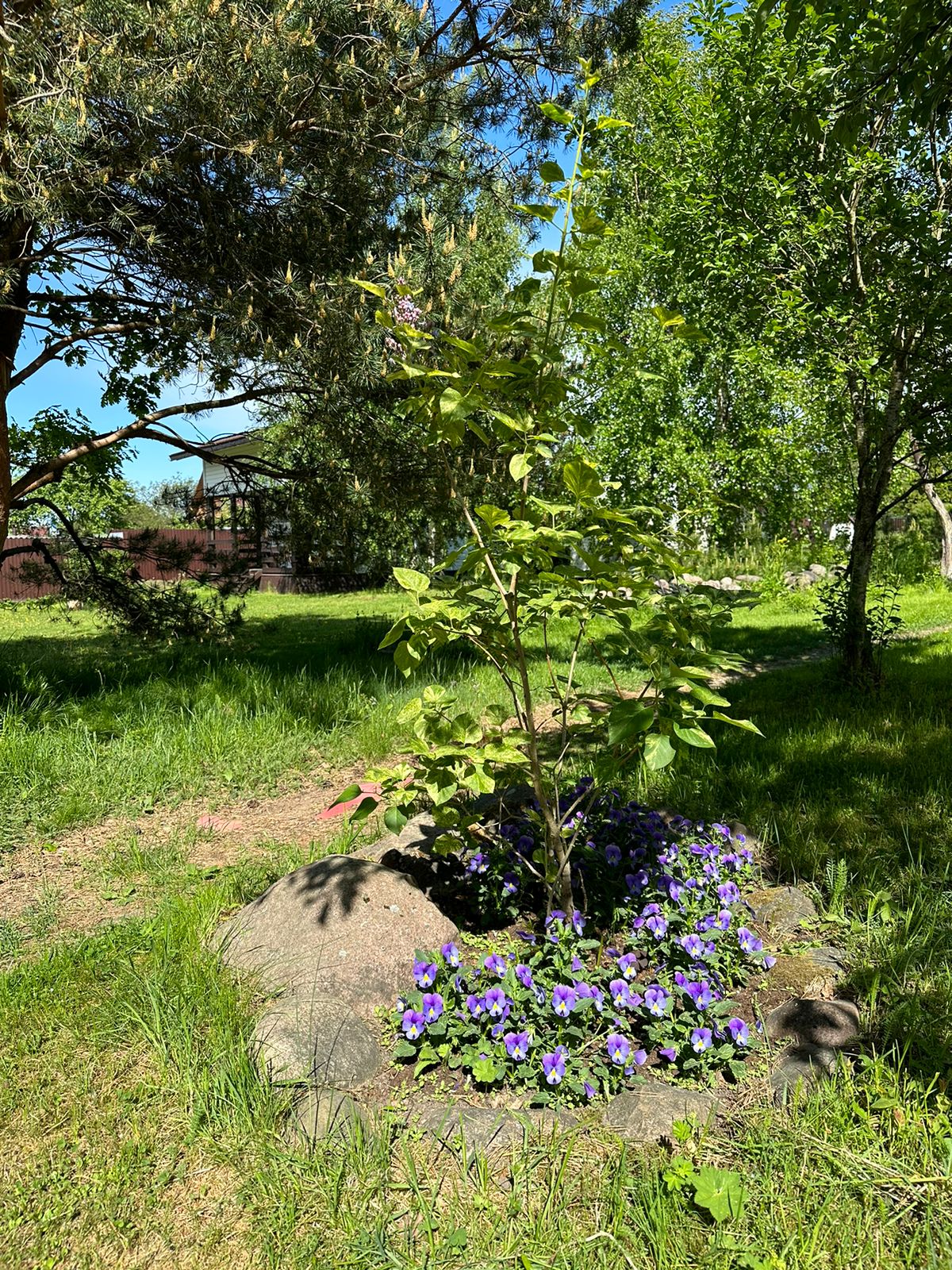 Фото Усадьба Заповедная