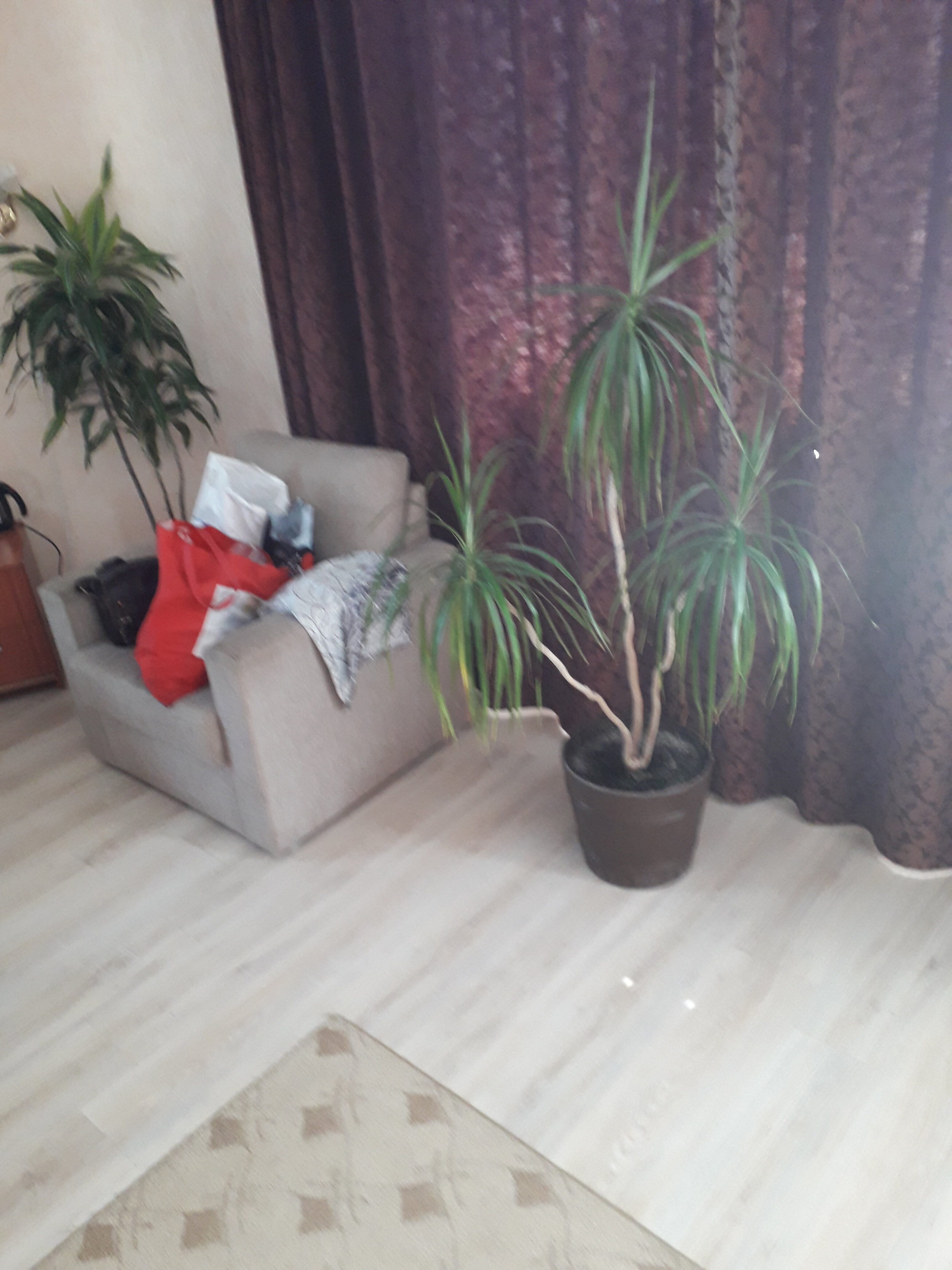 Фото Эффект