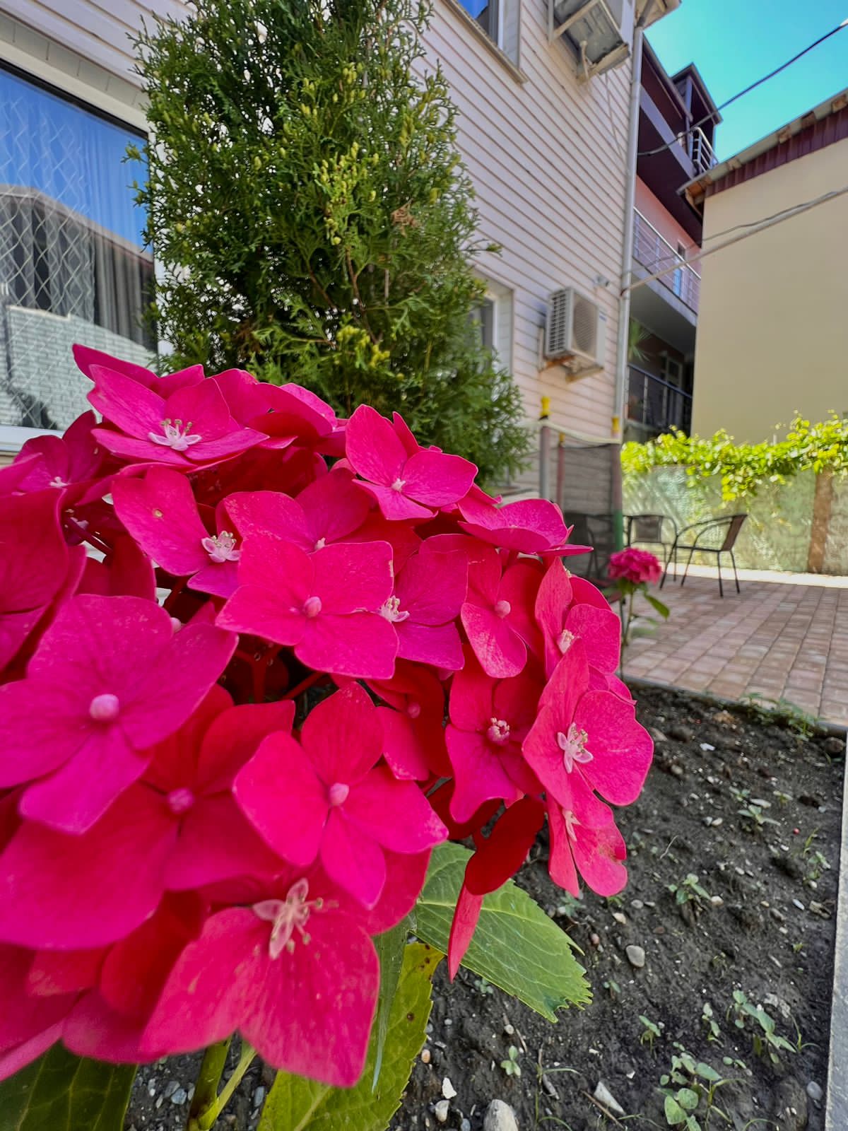 Фото отеля 2