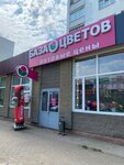 Baza Cvetov (Parkovaya Street, 25) ، محل زهور