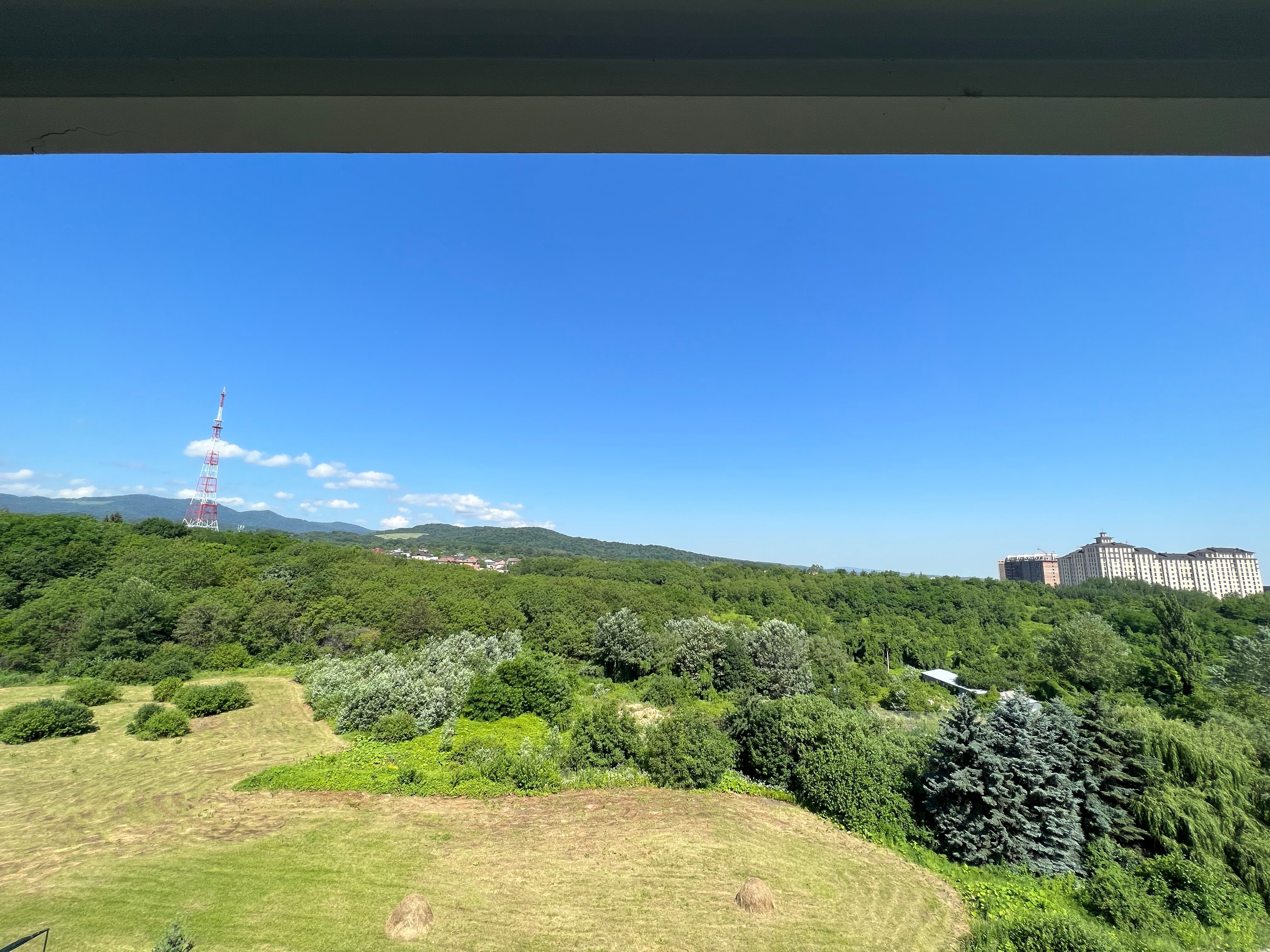 Фото Синдика