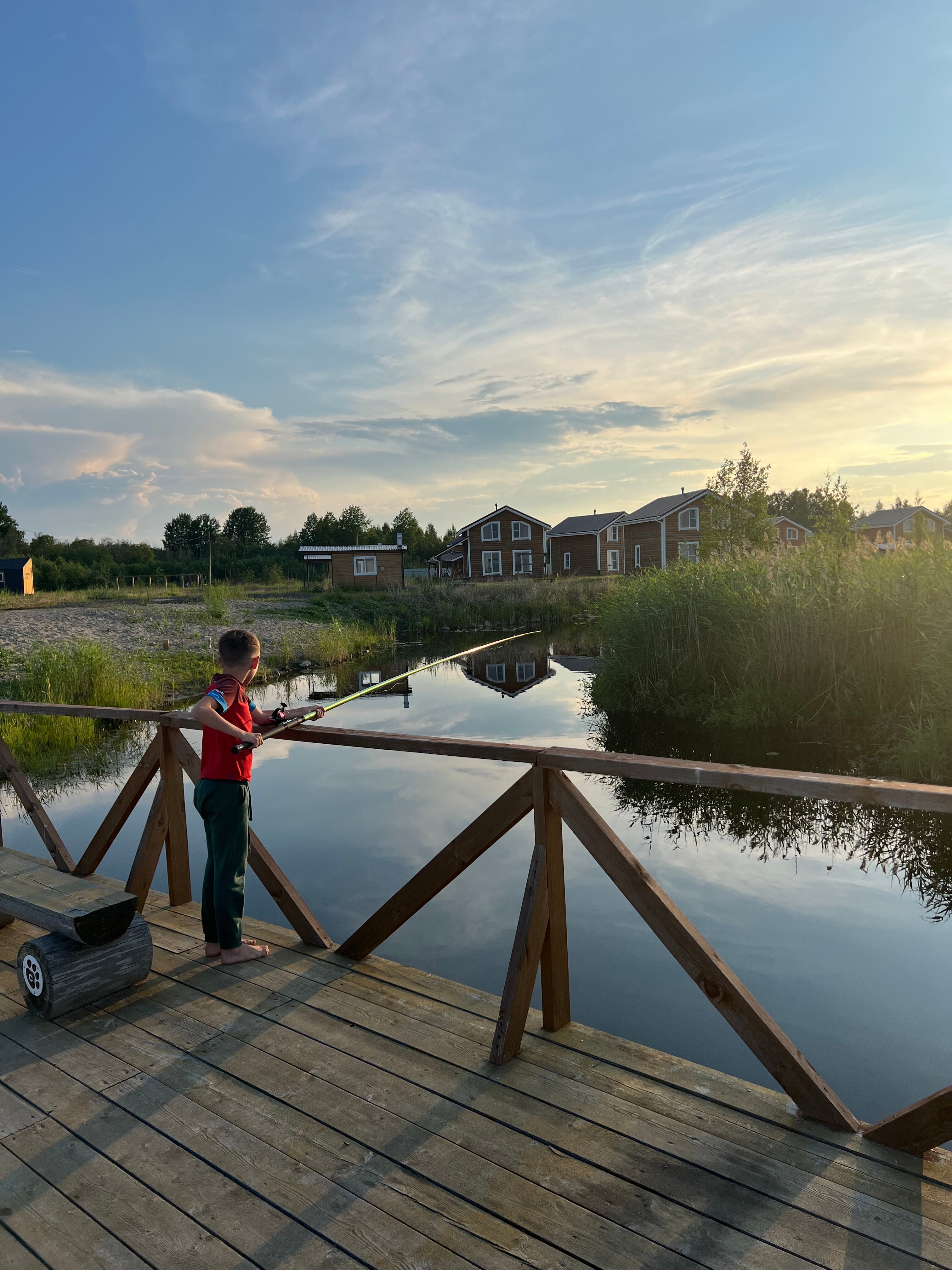 Фото Хитрый Лис