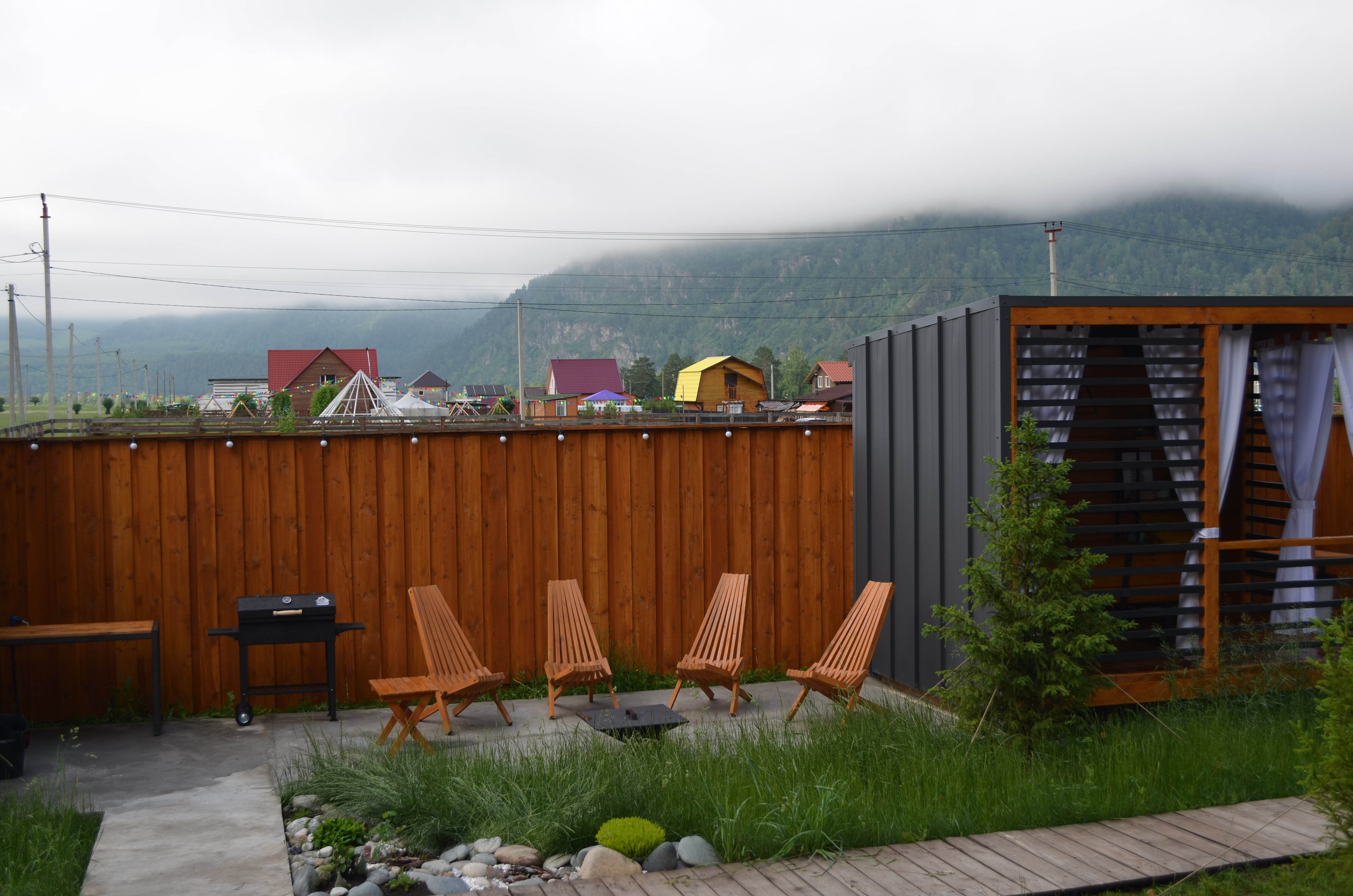 Фото Лес ДО небес