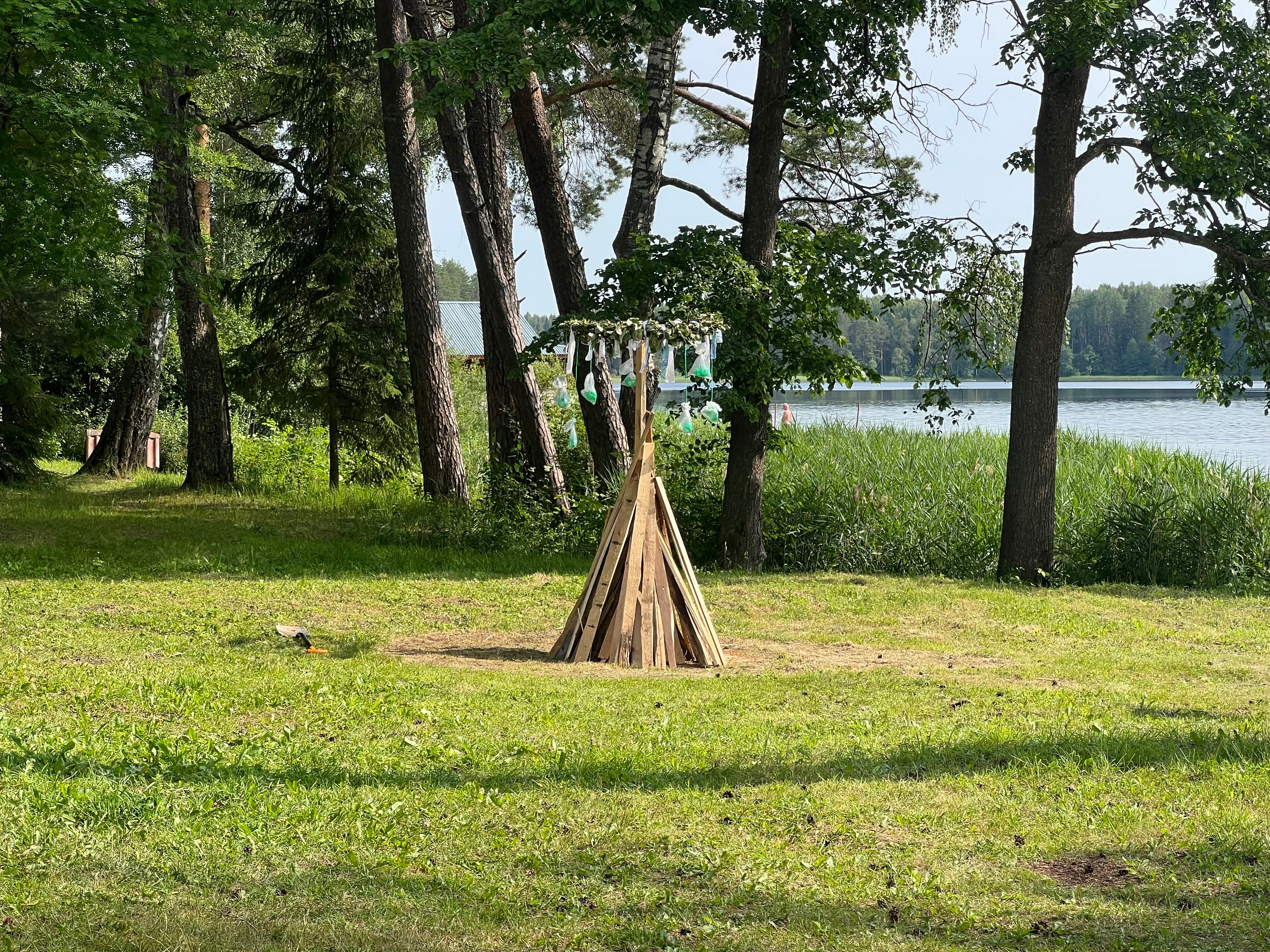 Фото Лесная дача