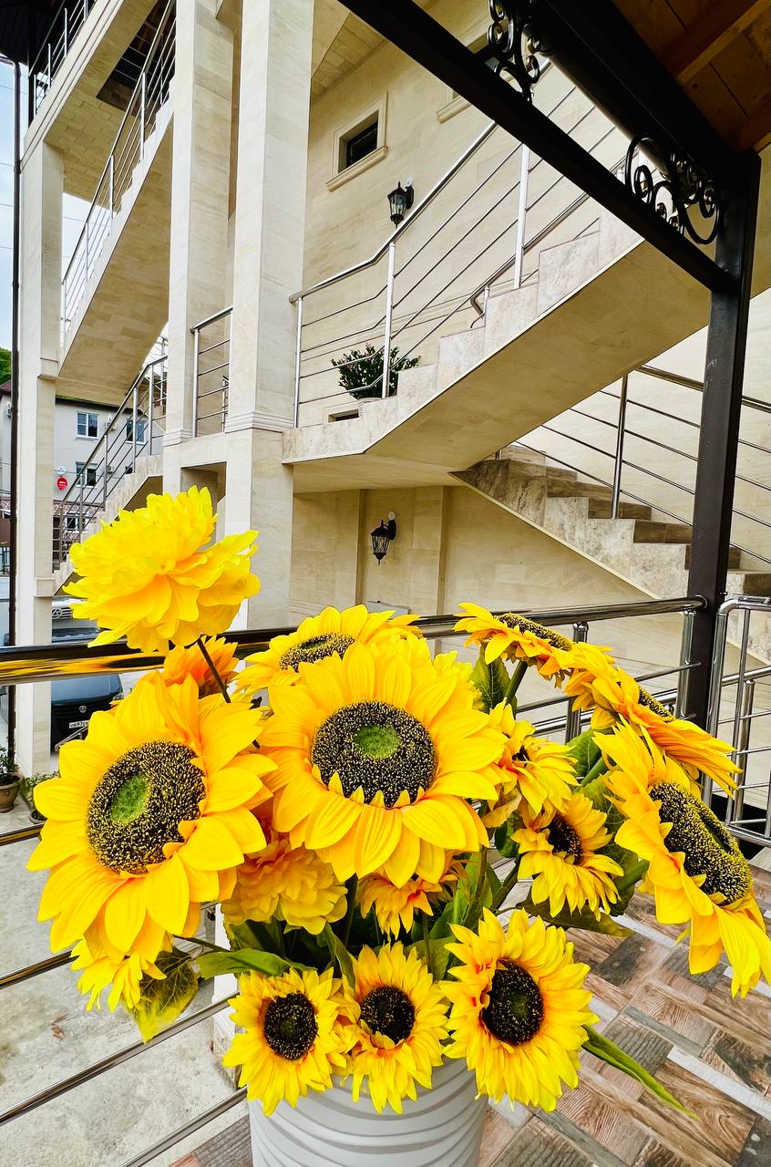 Фото Рай в Горном Воздухе