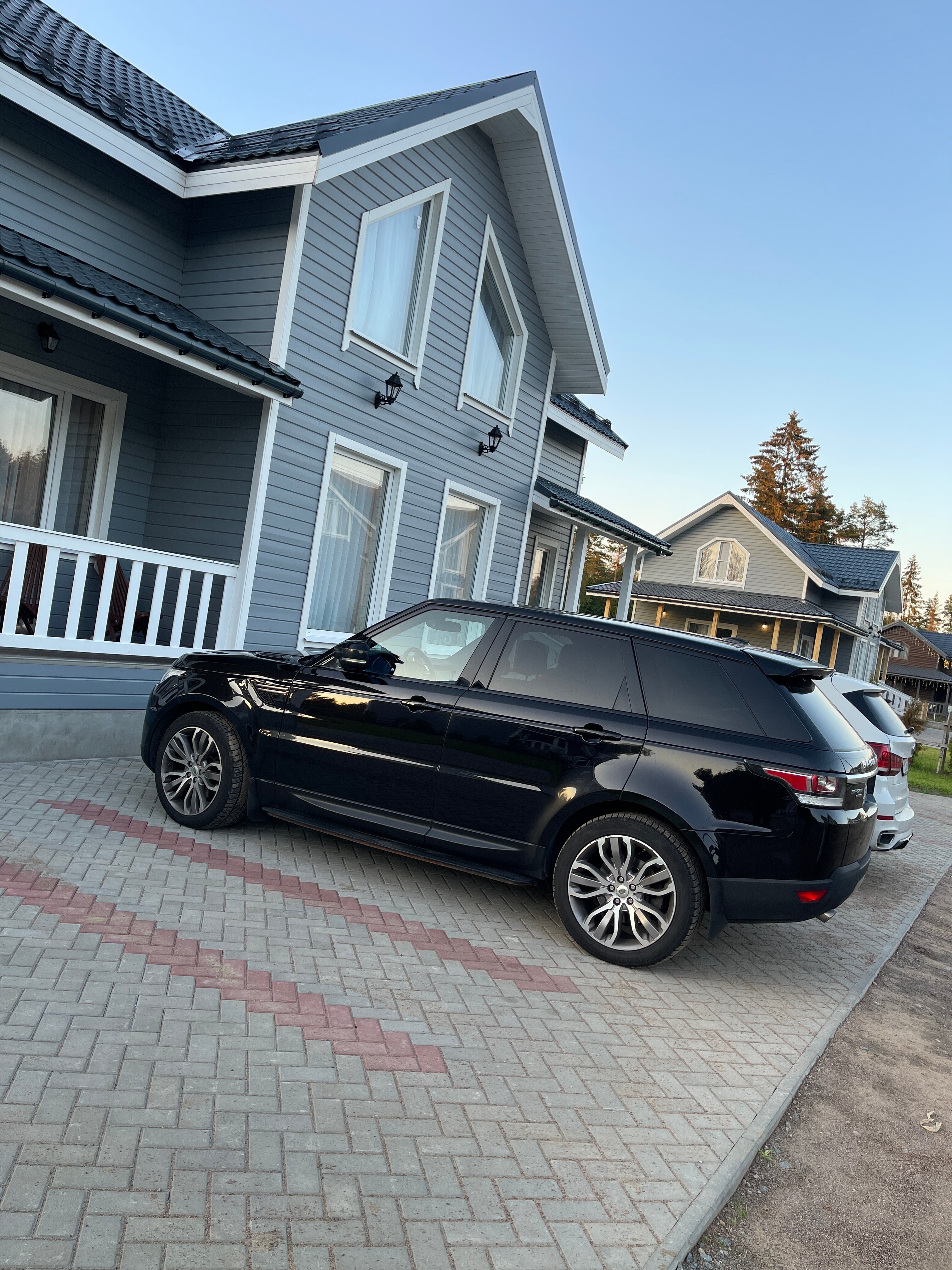 Фото Лесная Сова