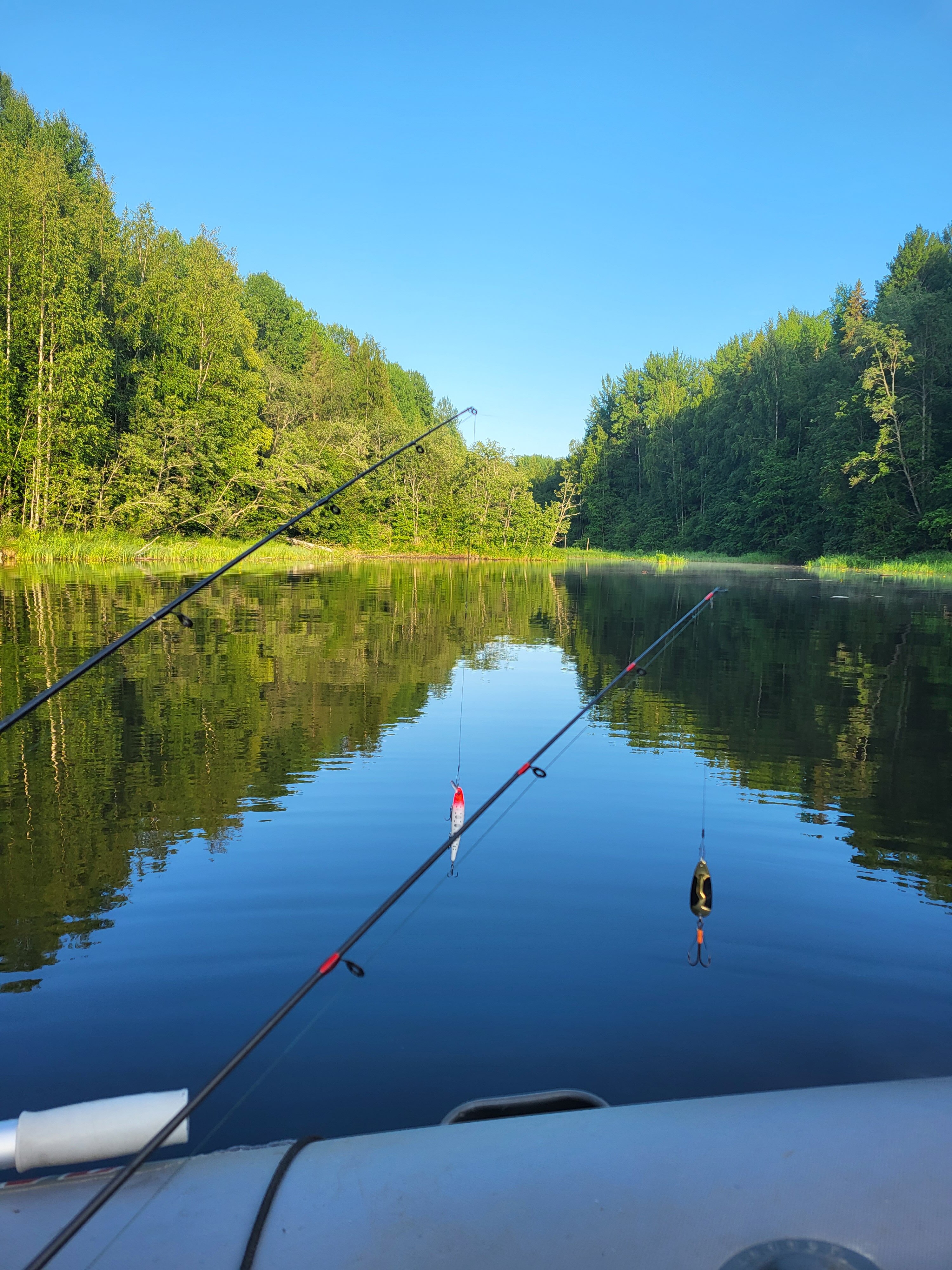 Фото Плотично