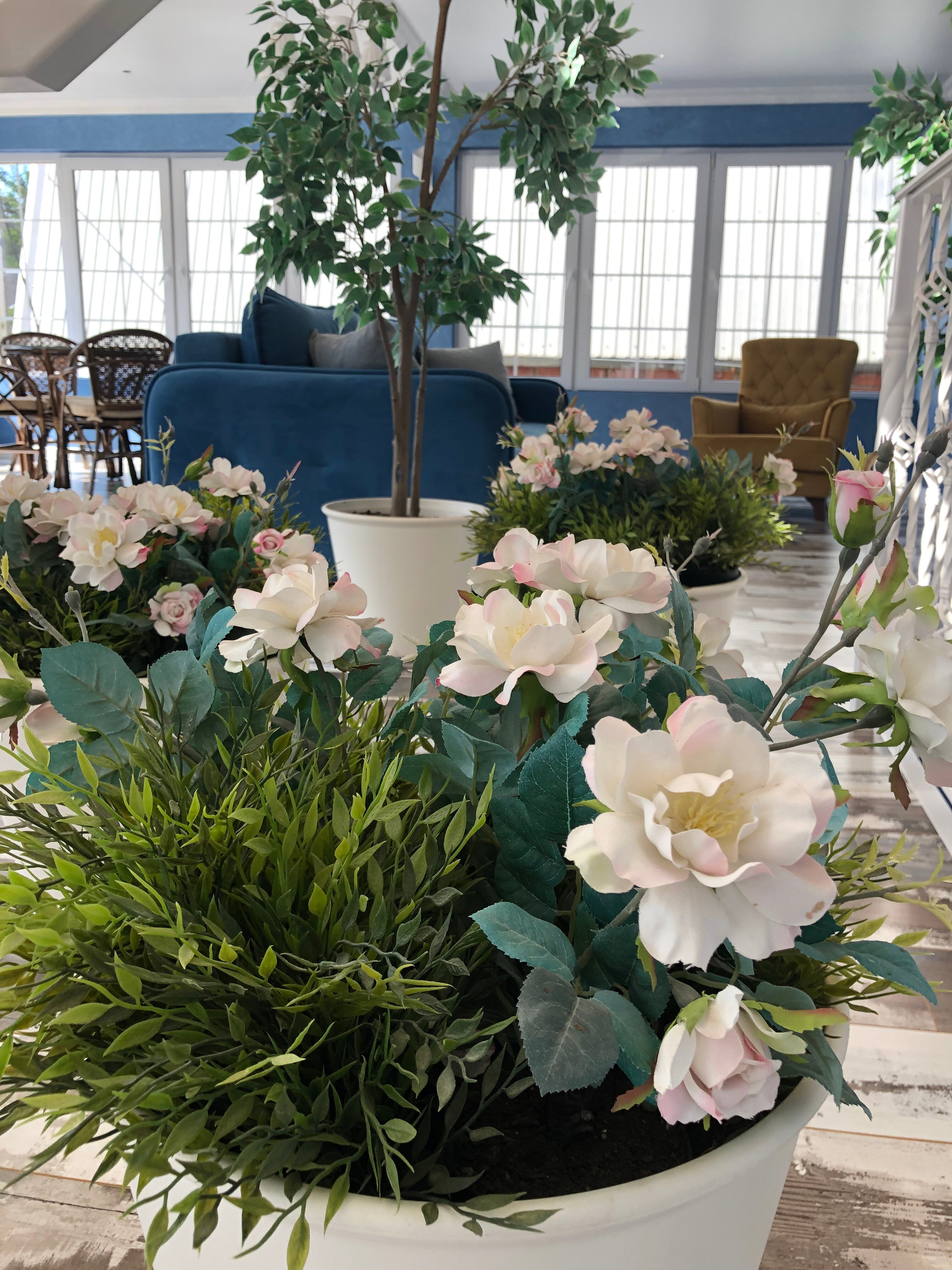 Фото Благодать