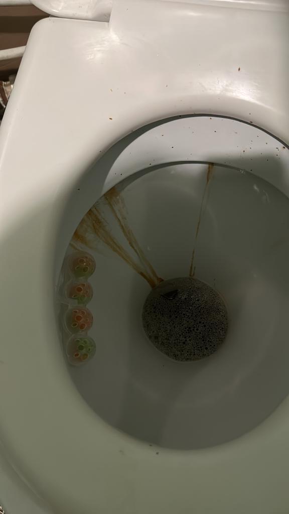 Фото Белые росы