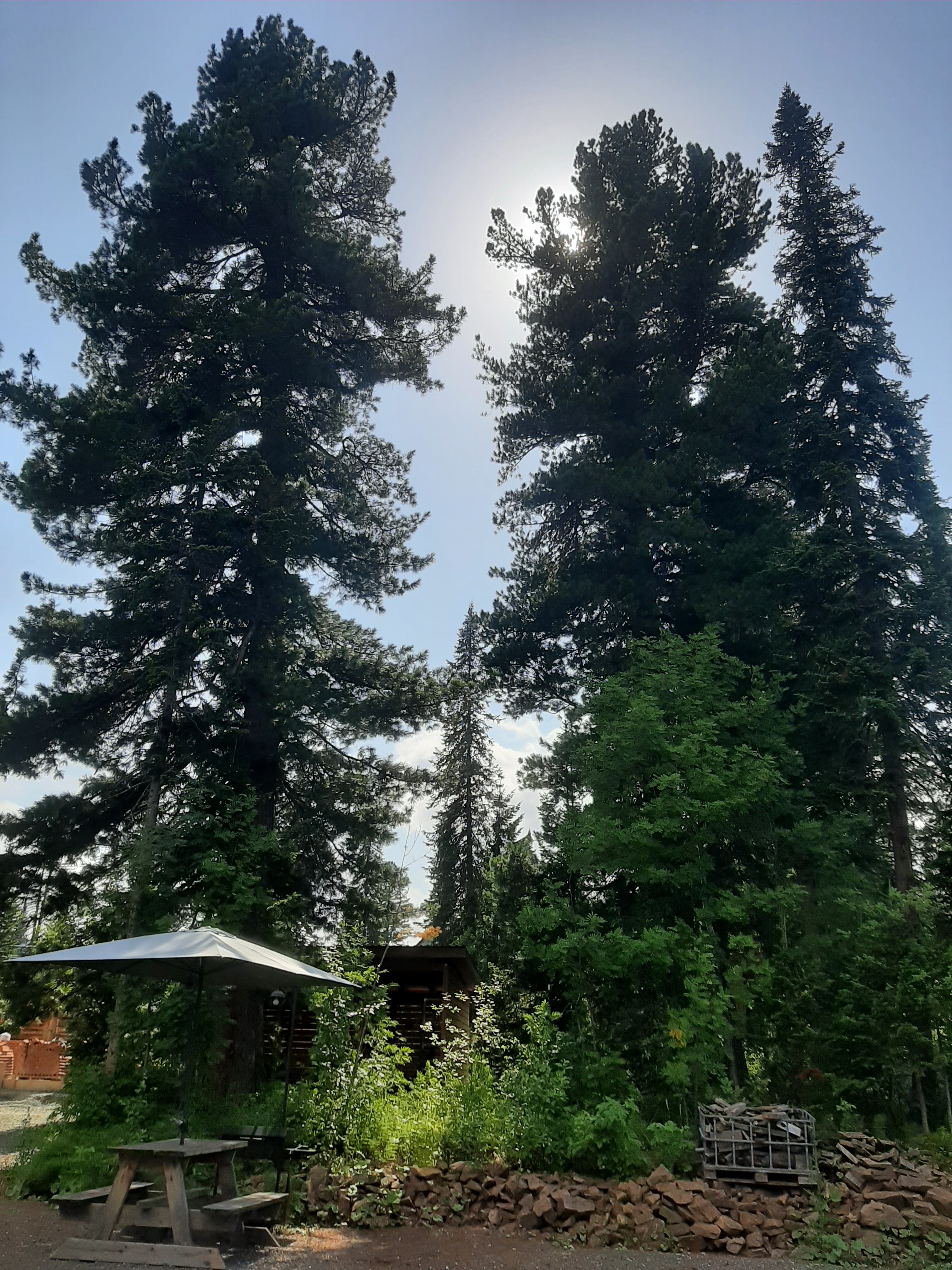 Фото Альпика Хаус