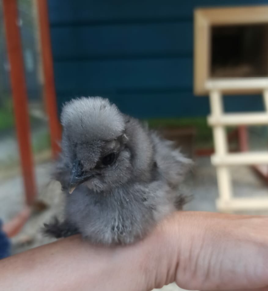 Фото Yagodavillage