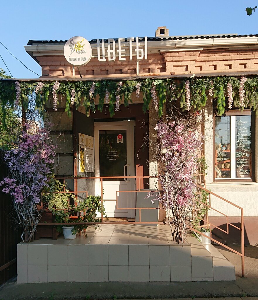 Flower shop Flowers mimosa mi musa, Krasnodar, photo