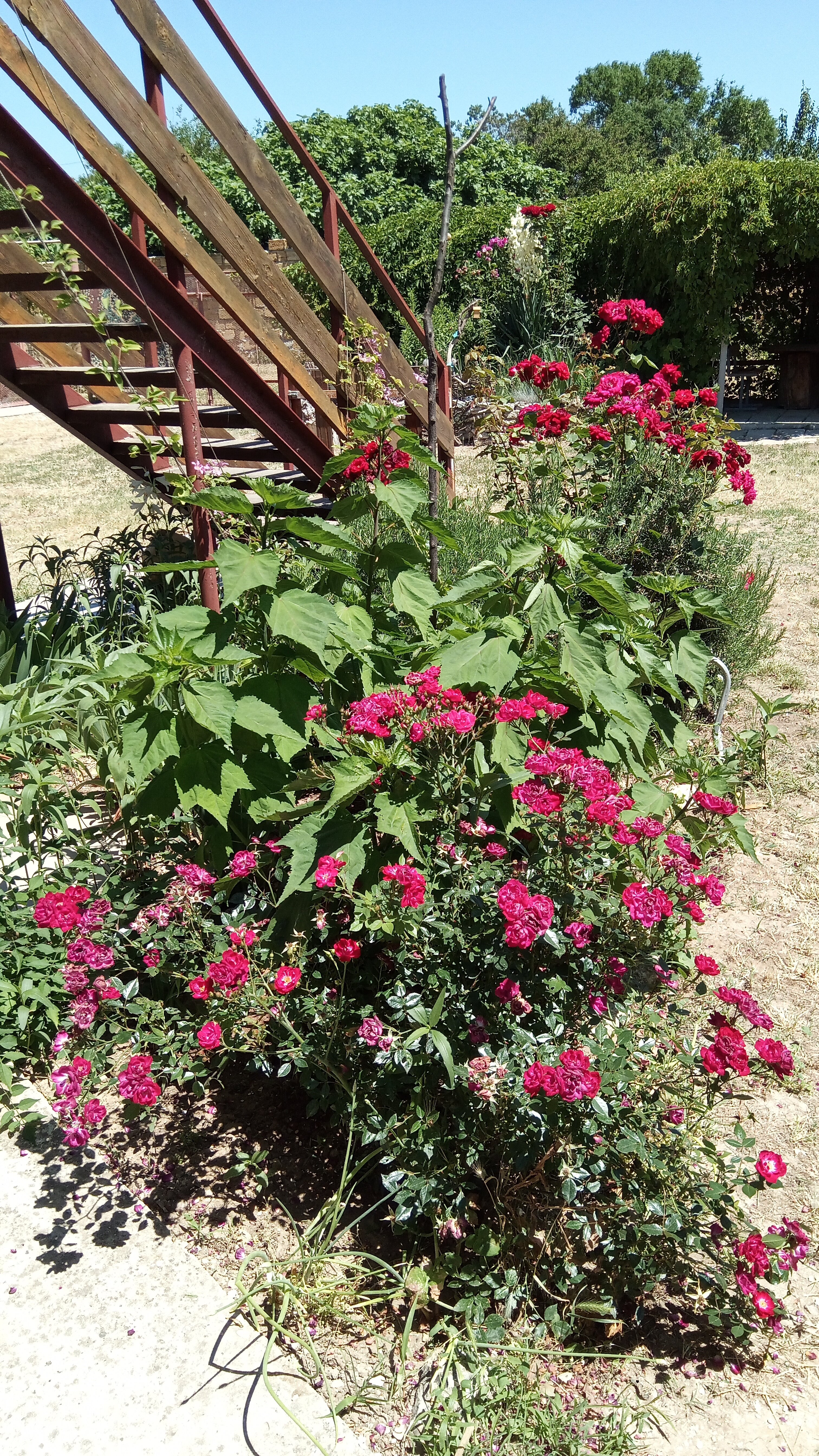 Фото Наш Казантип