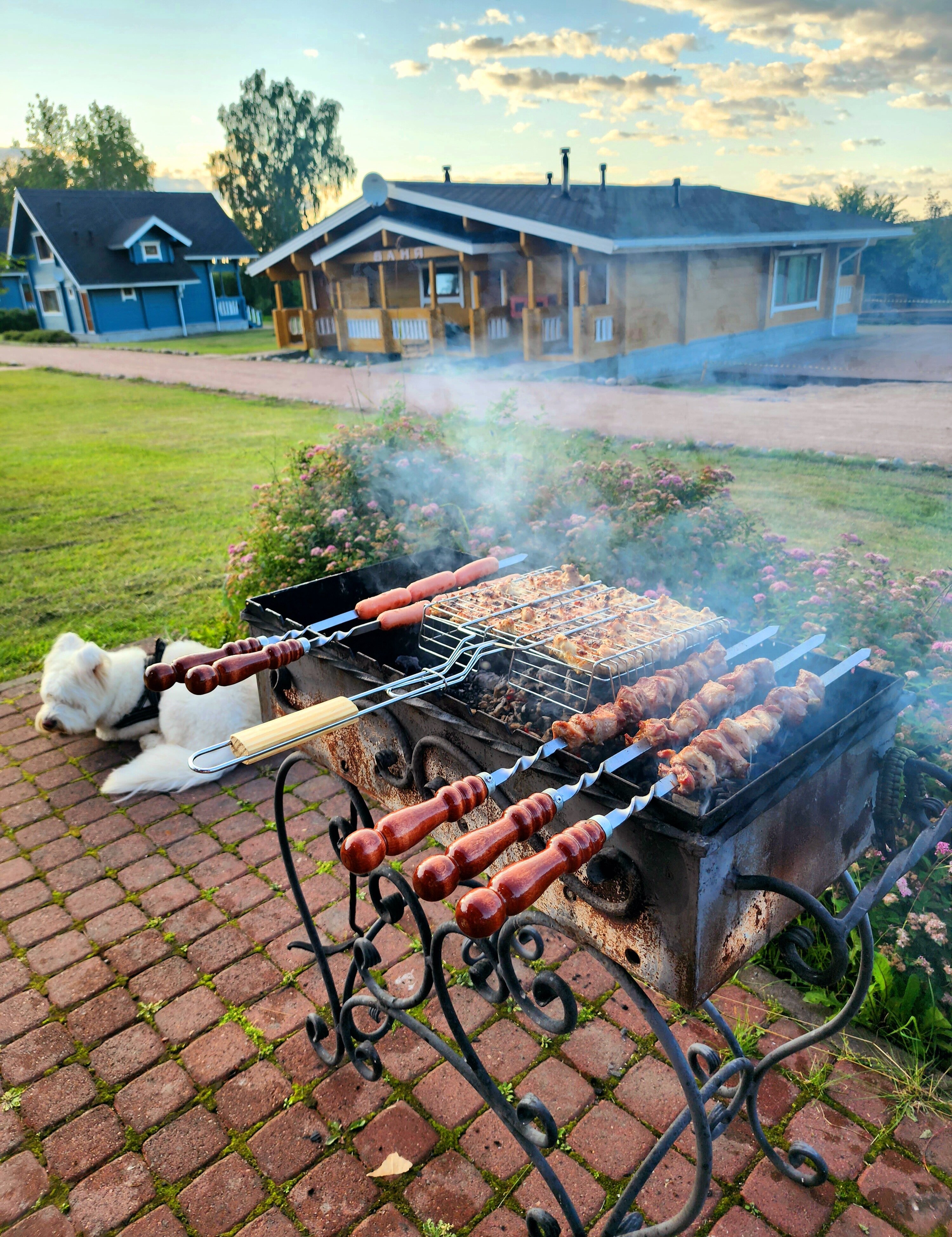 Фото Вохотка