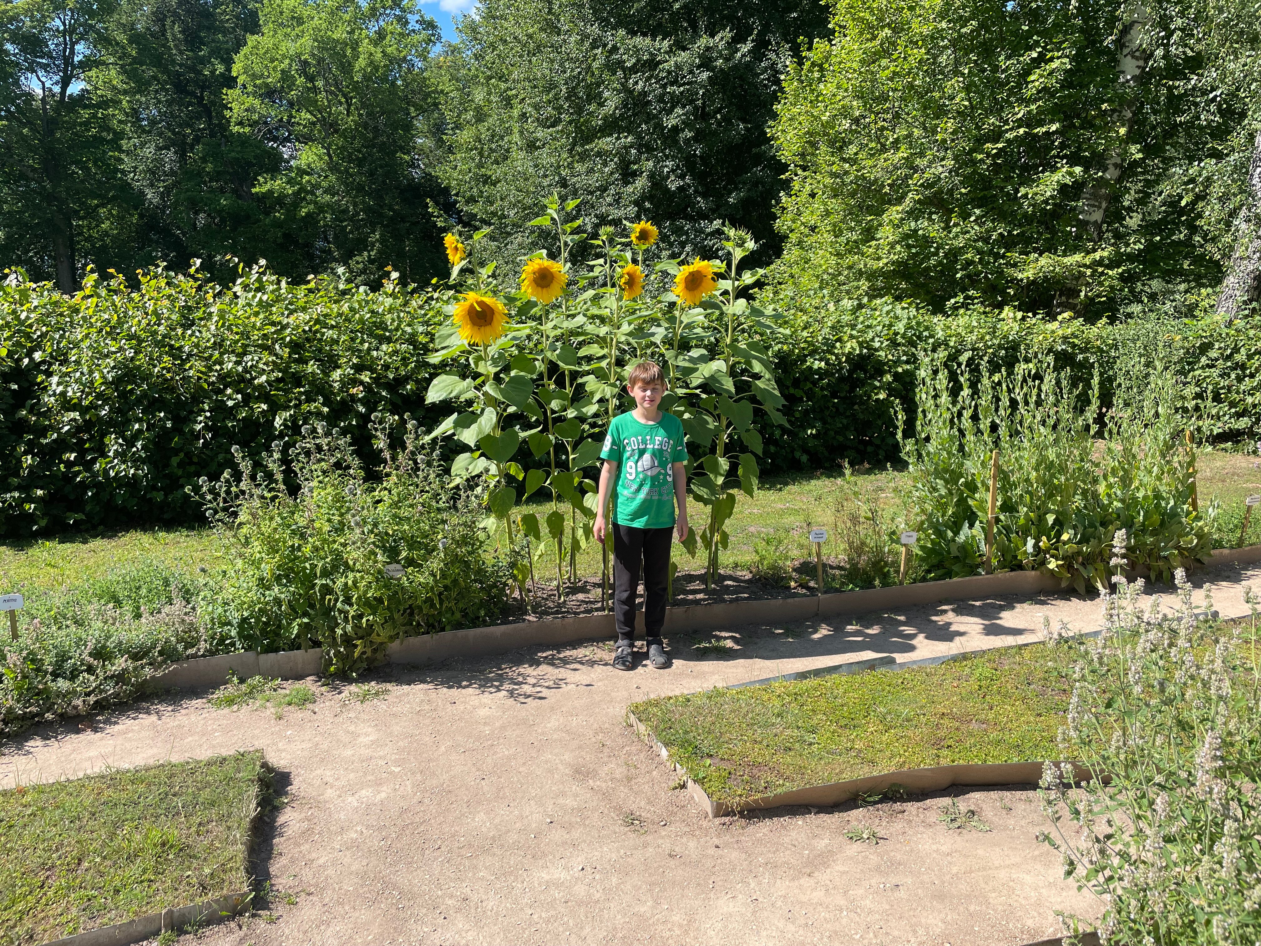 Фото Камин и Пианино