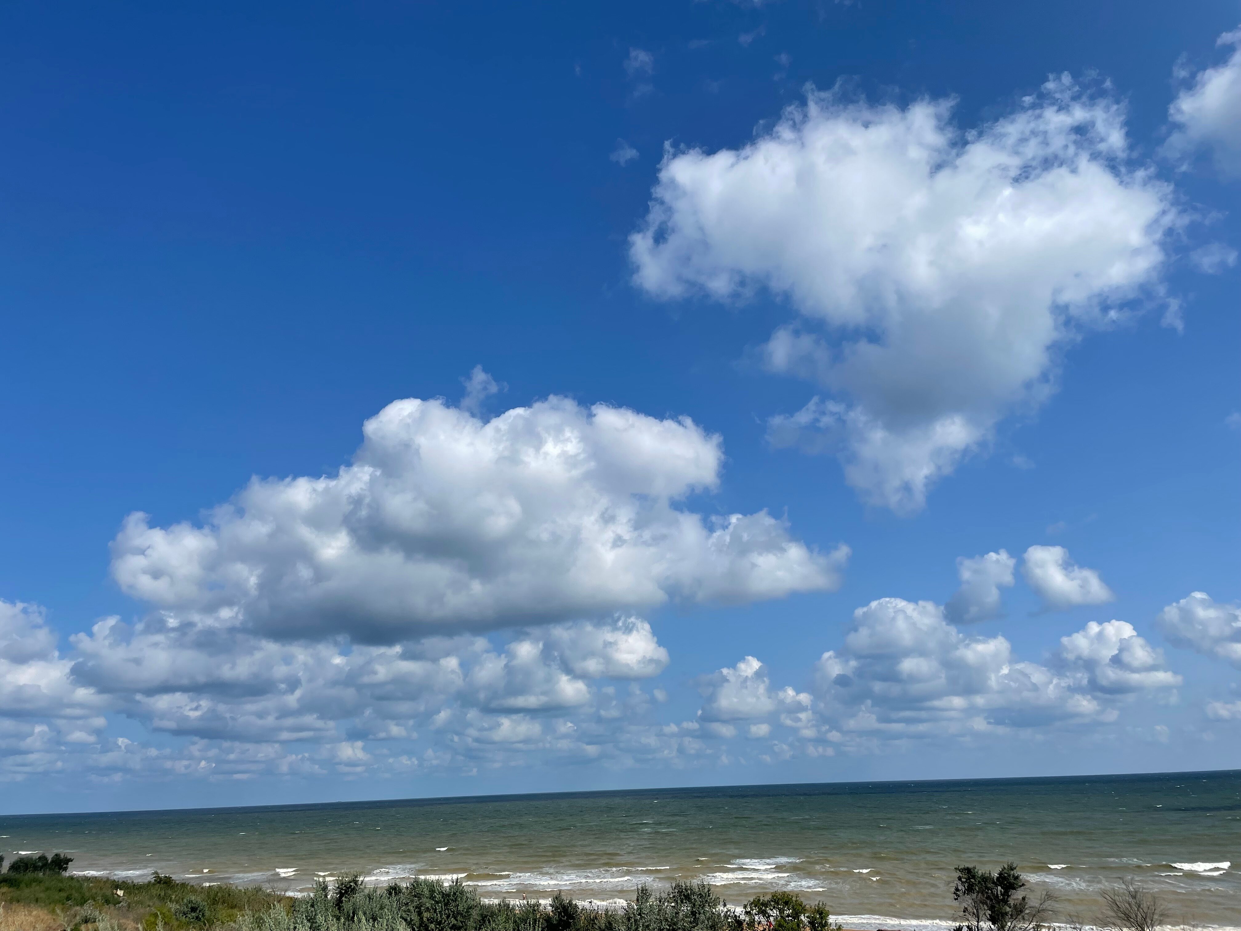 Фото Жемчужина