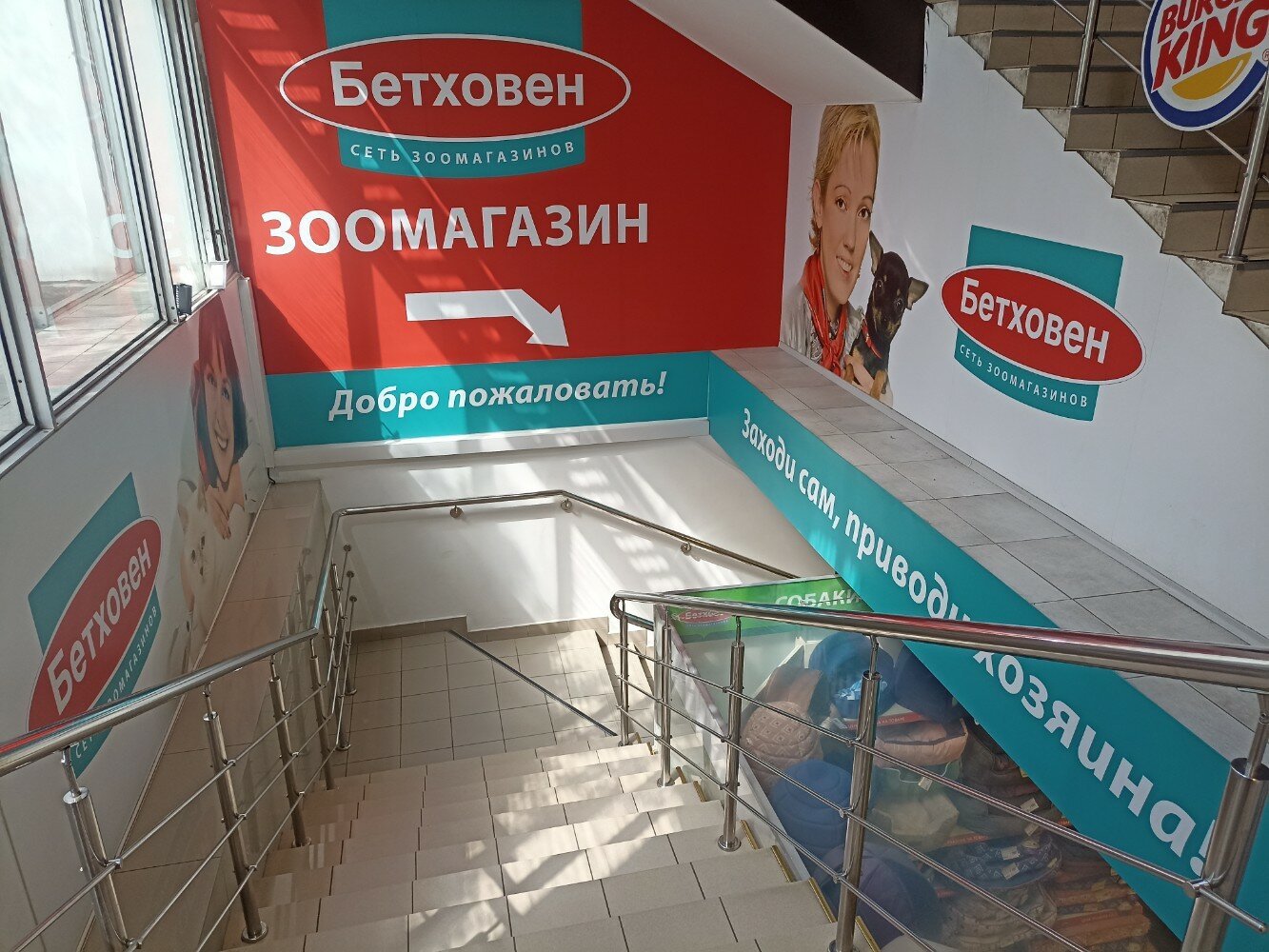 Бетховен - фото 14