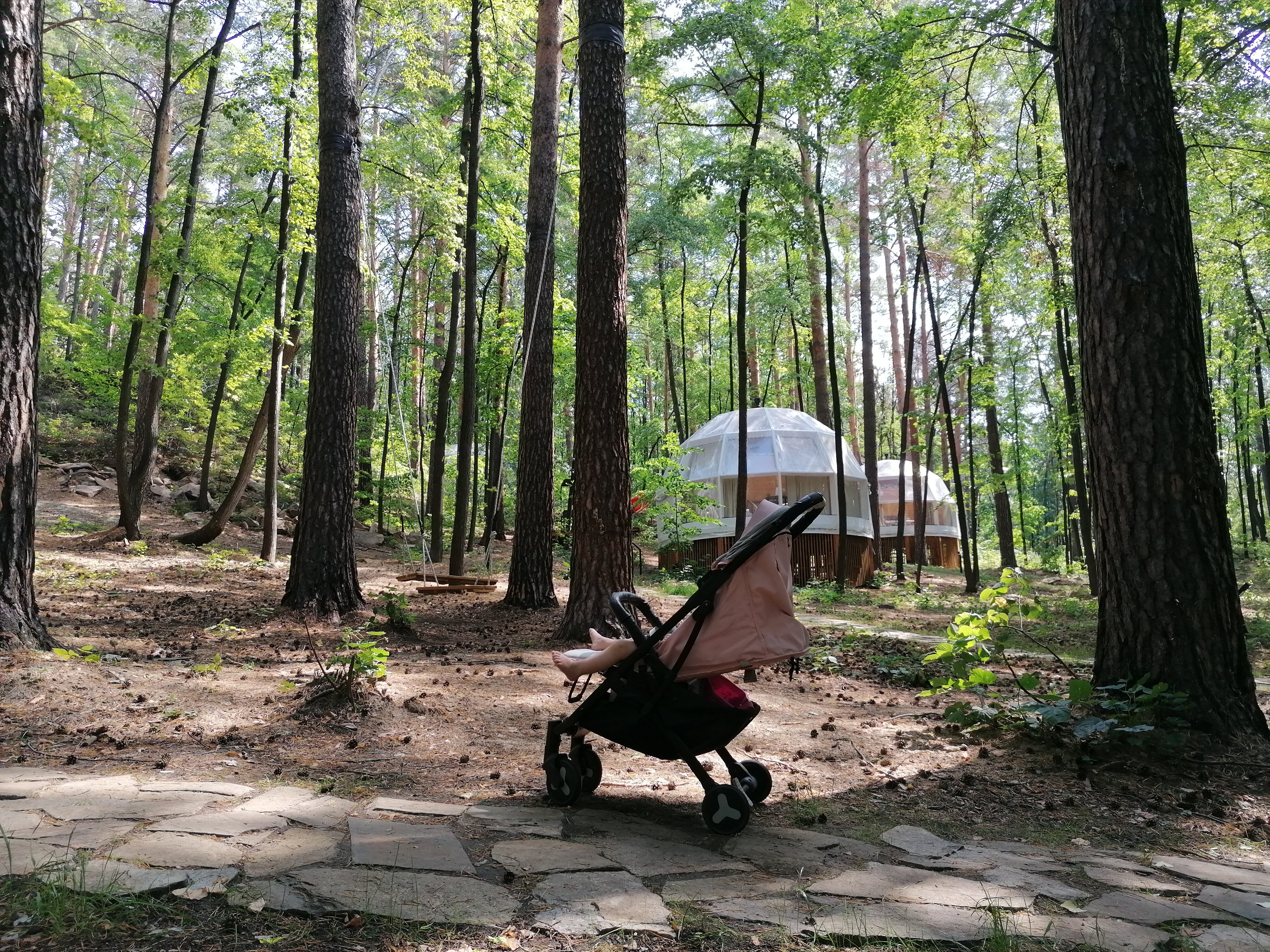 Фото Светлячок