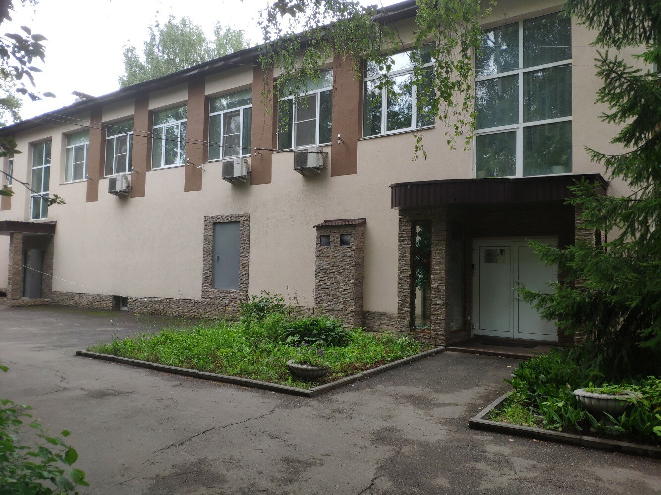 Фото Яблоки