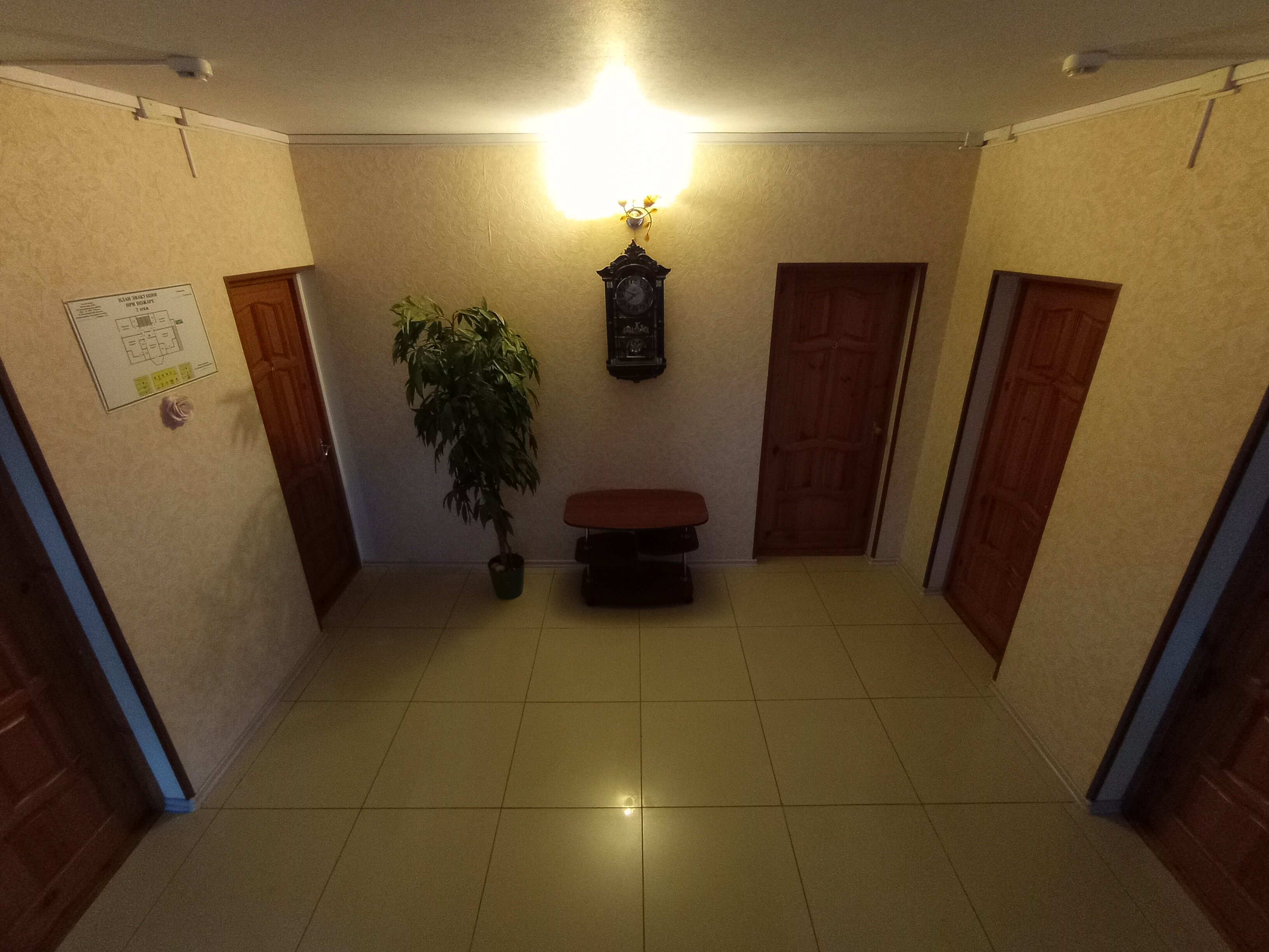 Фото Лизин рай