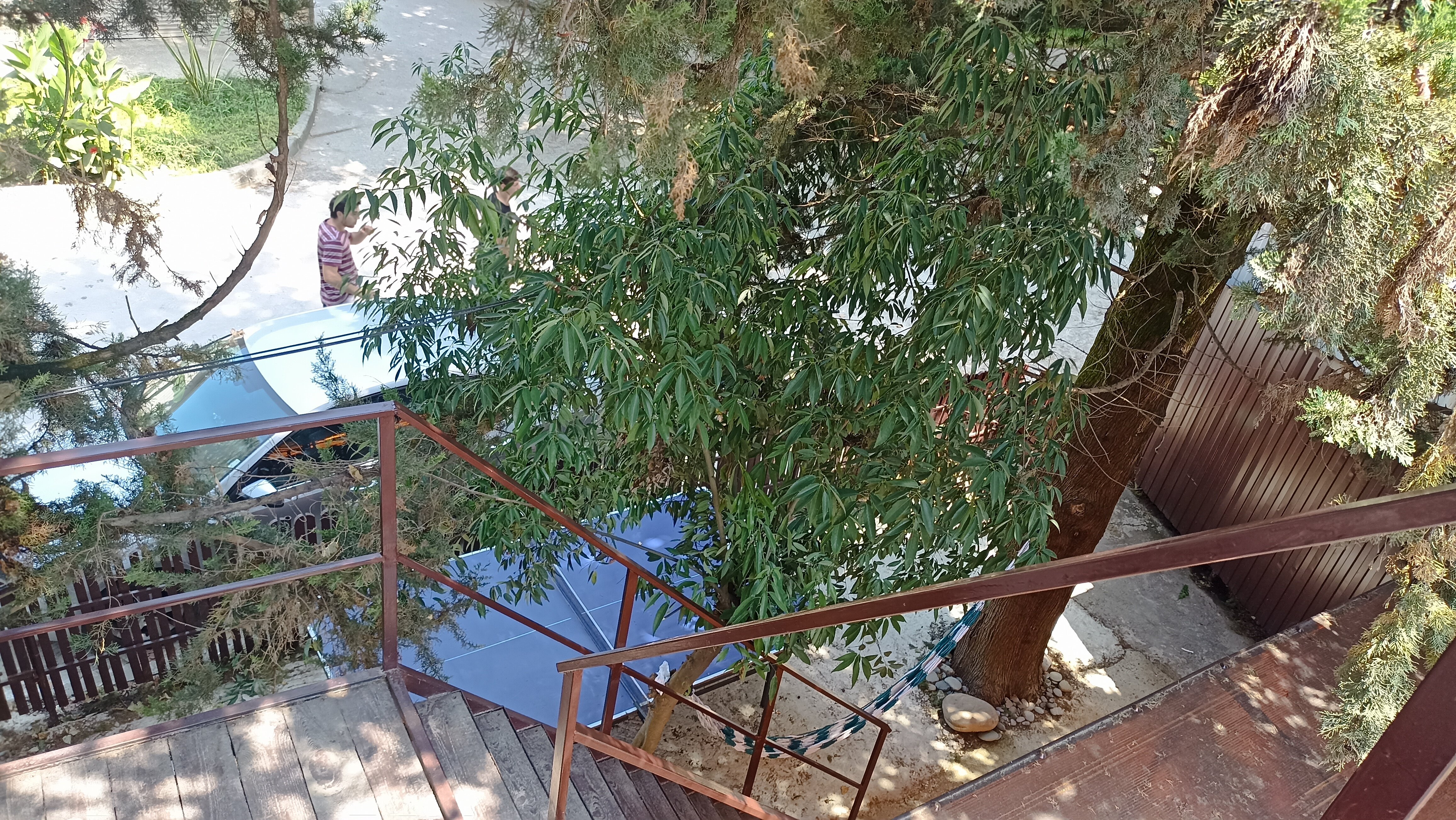 Фото Zёbra House