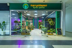 KaktusMarket (Professionalnaya Street, 7) ، محل زهور