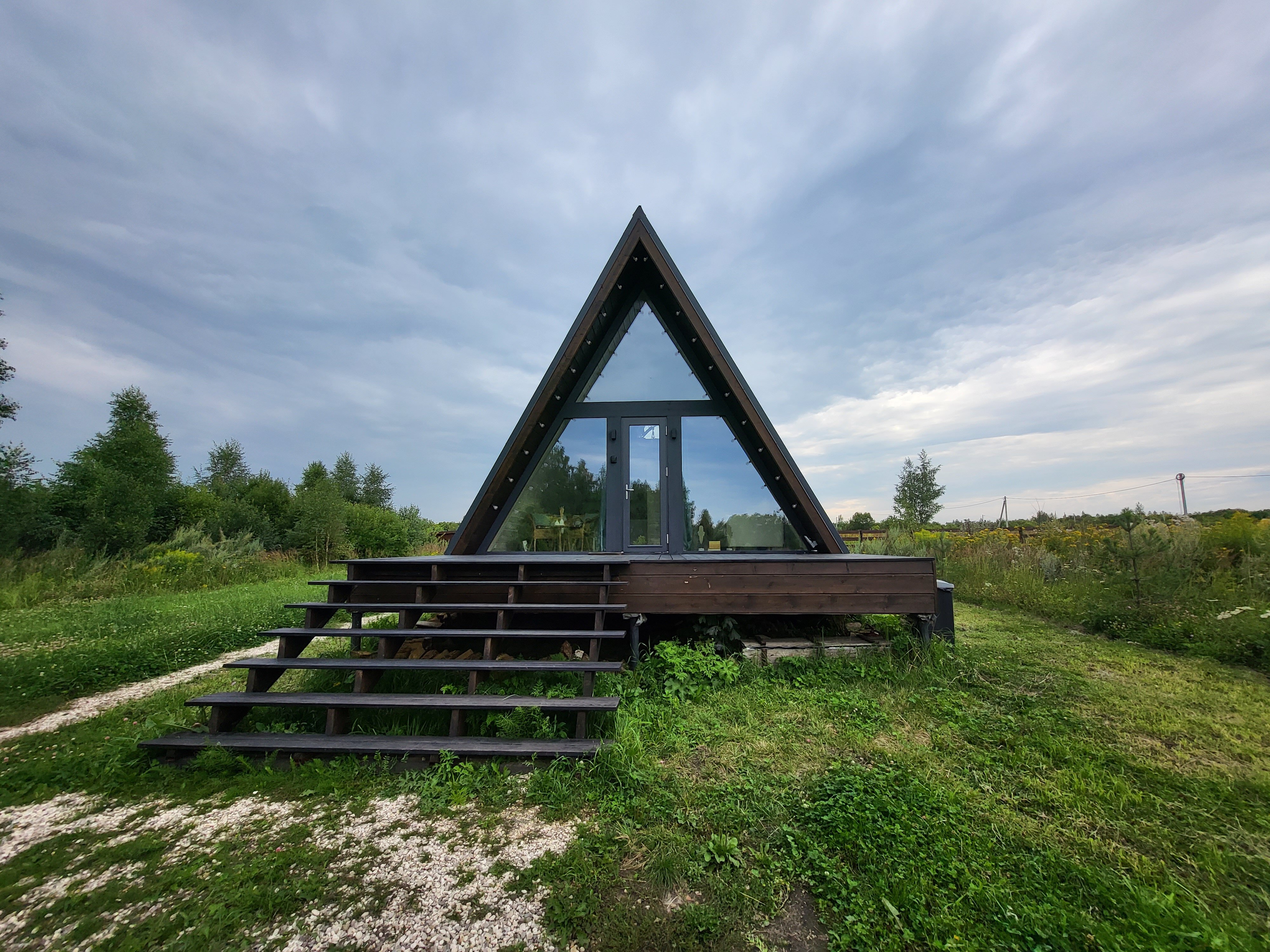 Фото Лес и небо