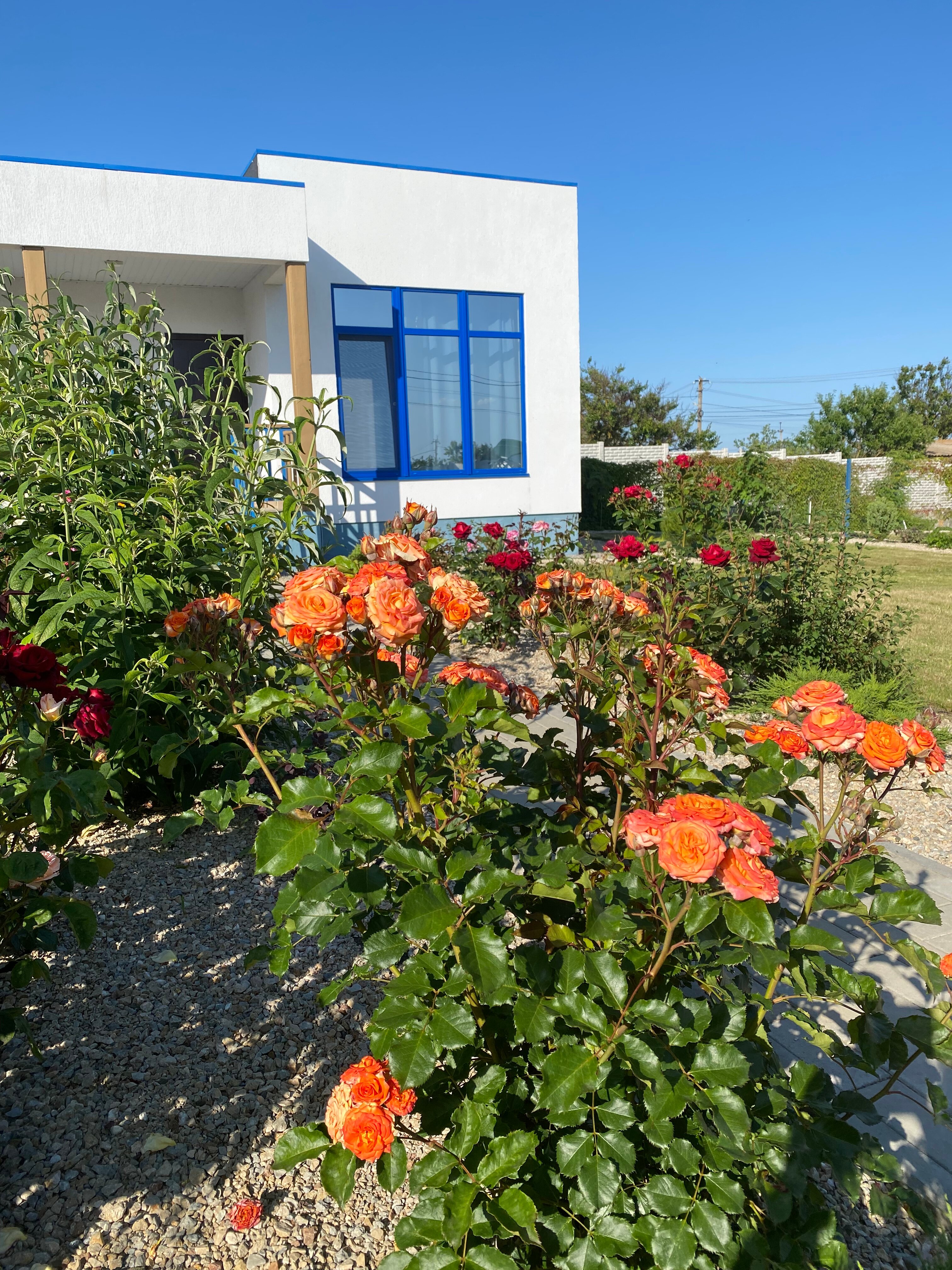 Фото СантоРини